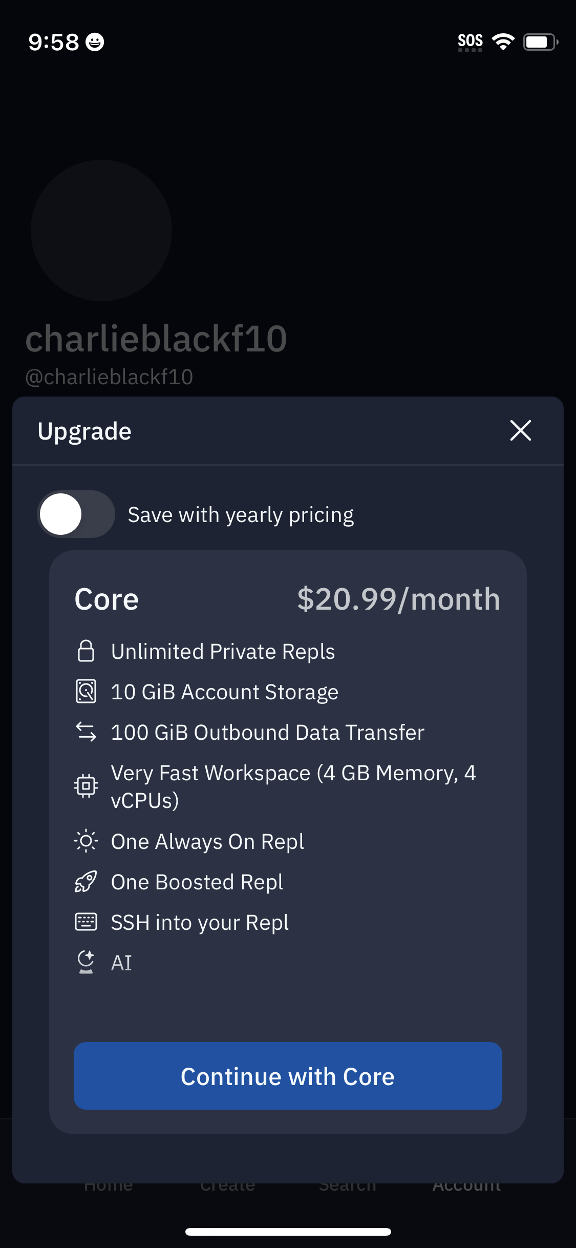 replit app screenshot 89