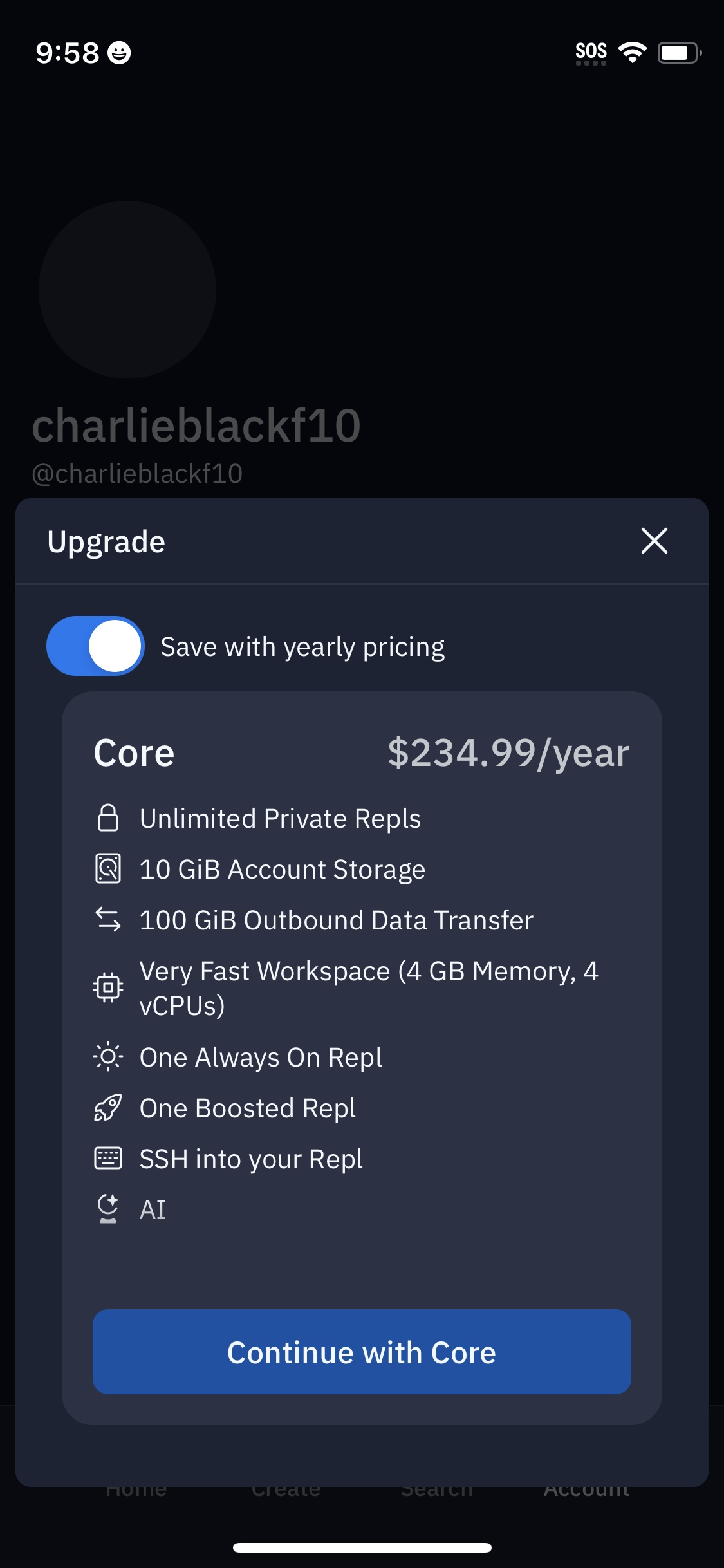 replit app screenshot 88