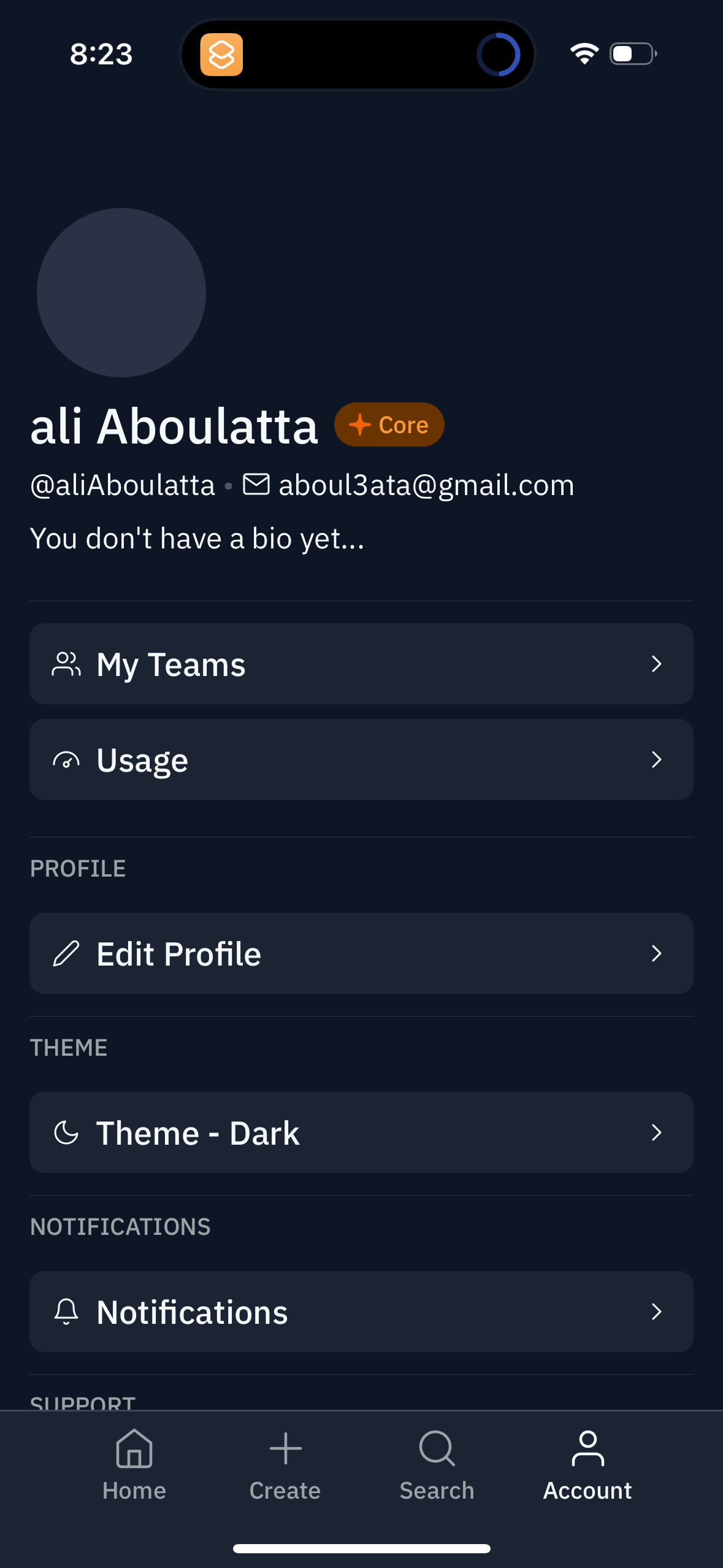 replit app screenshot 67