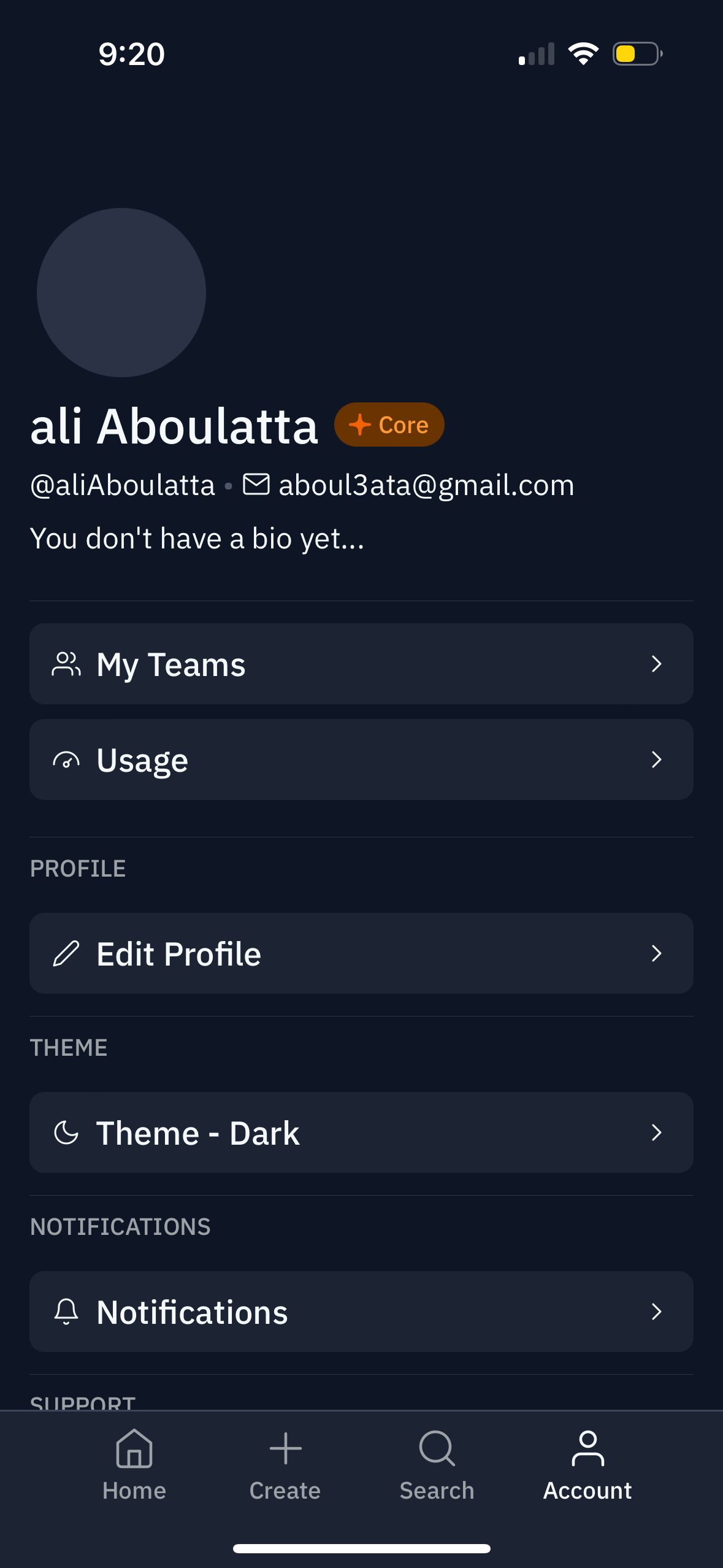 replit app screenshot 62