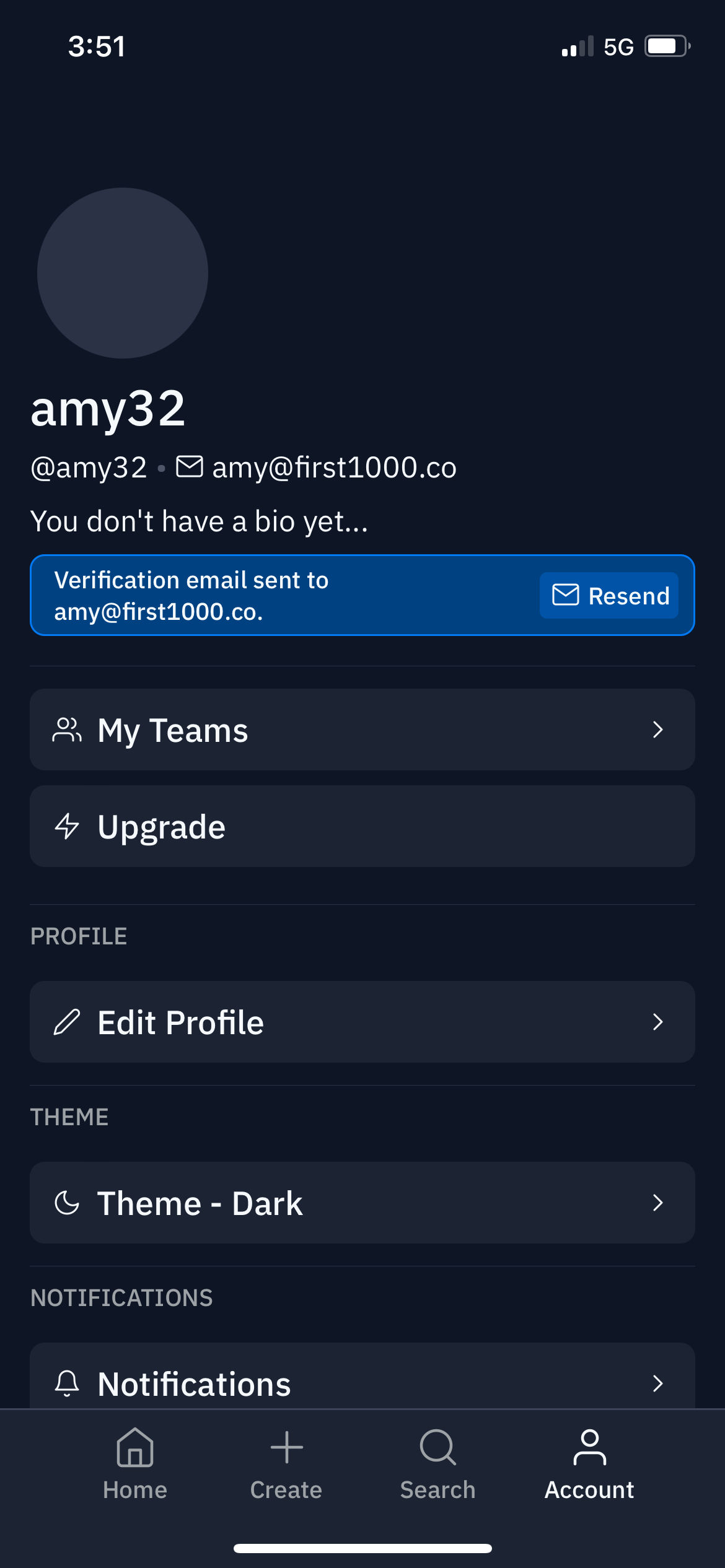 replit app screenshot 49