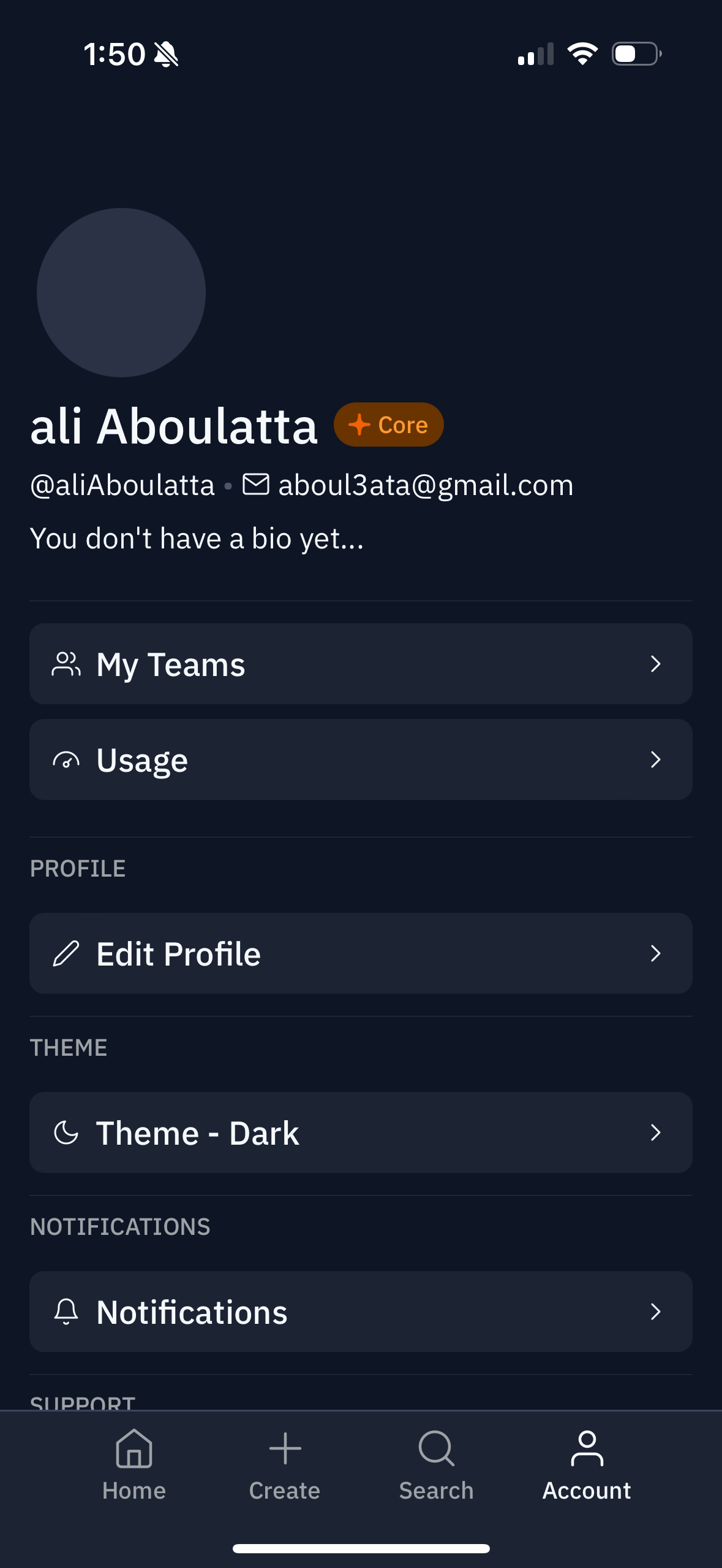 replit app screenshot 35