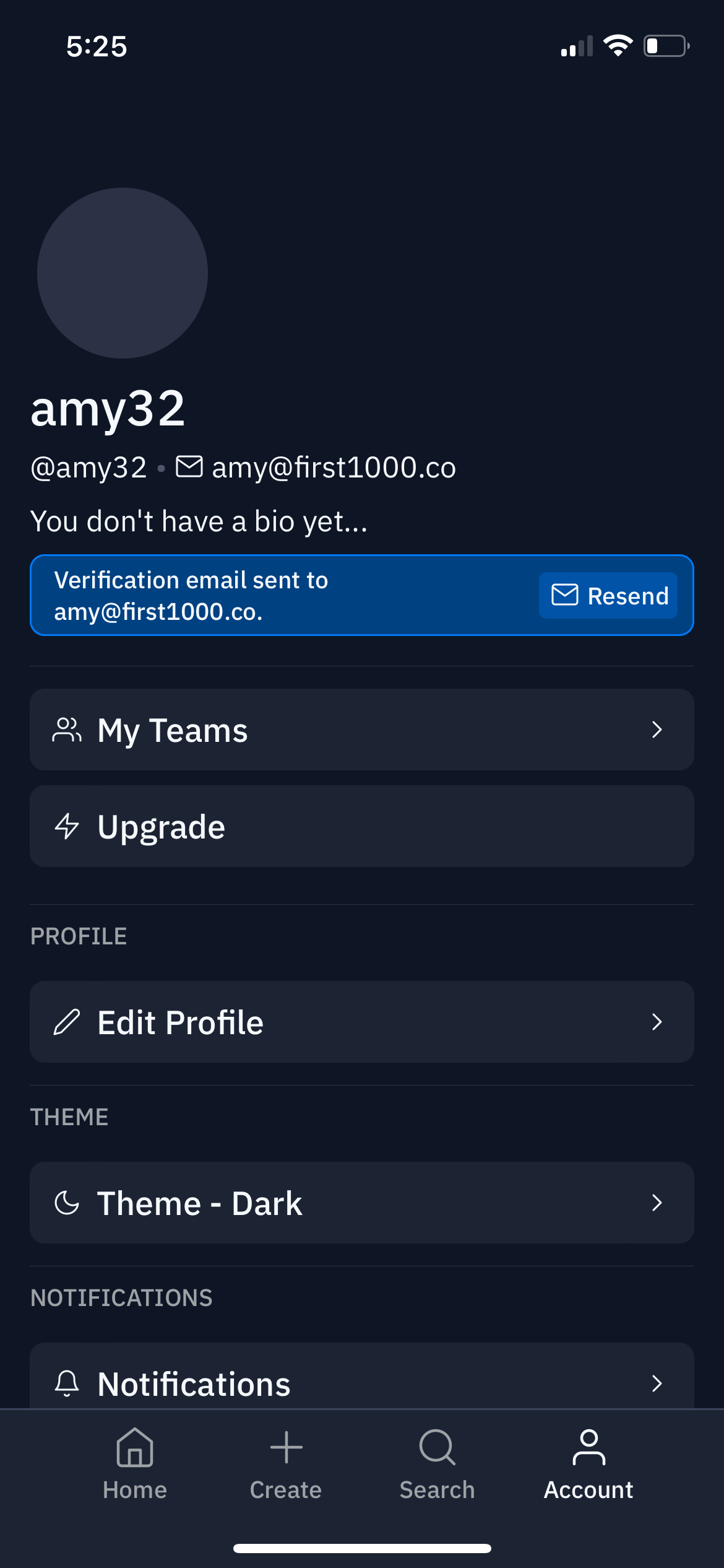 replit app screenshot 33