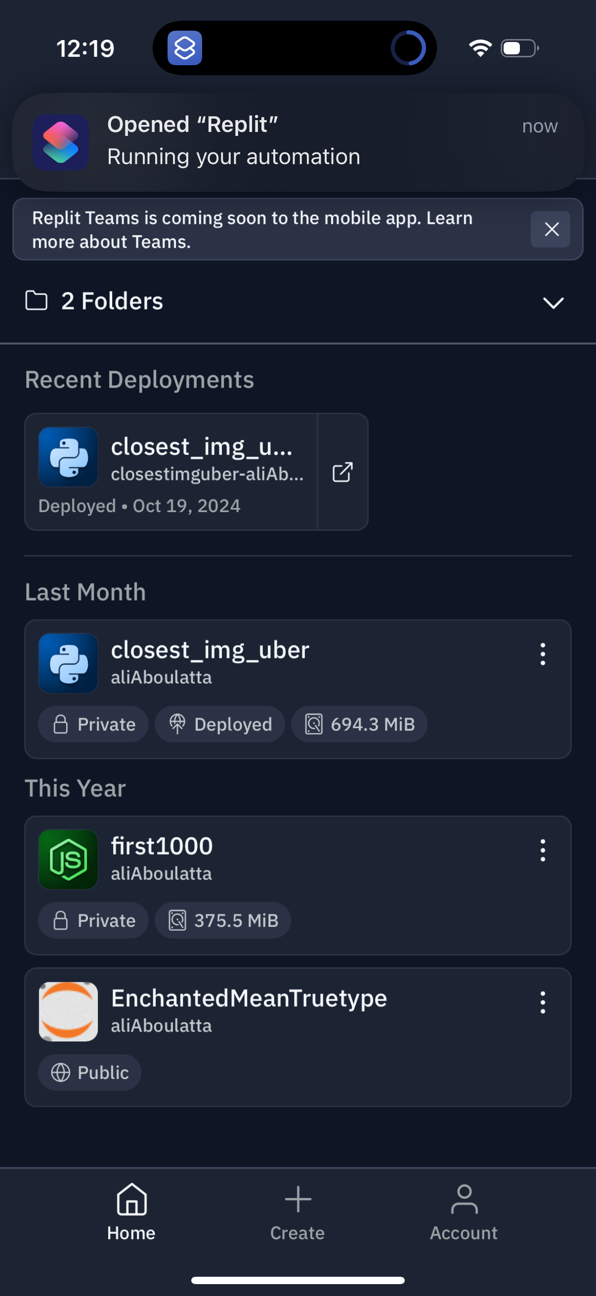replit app screenshot 20
