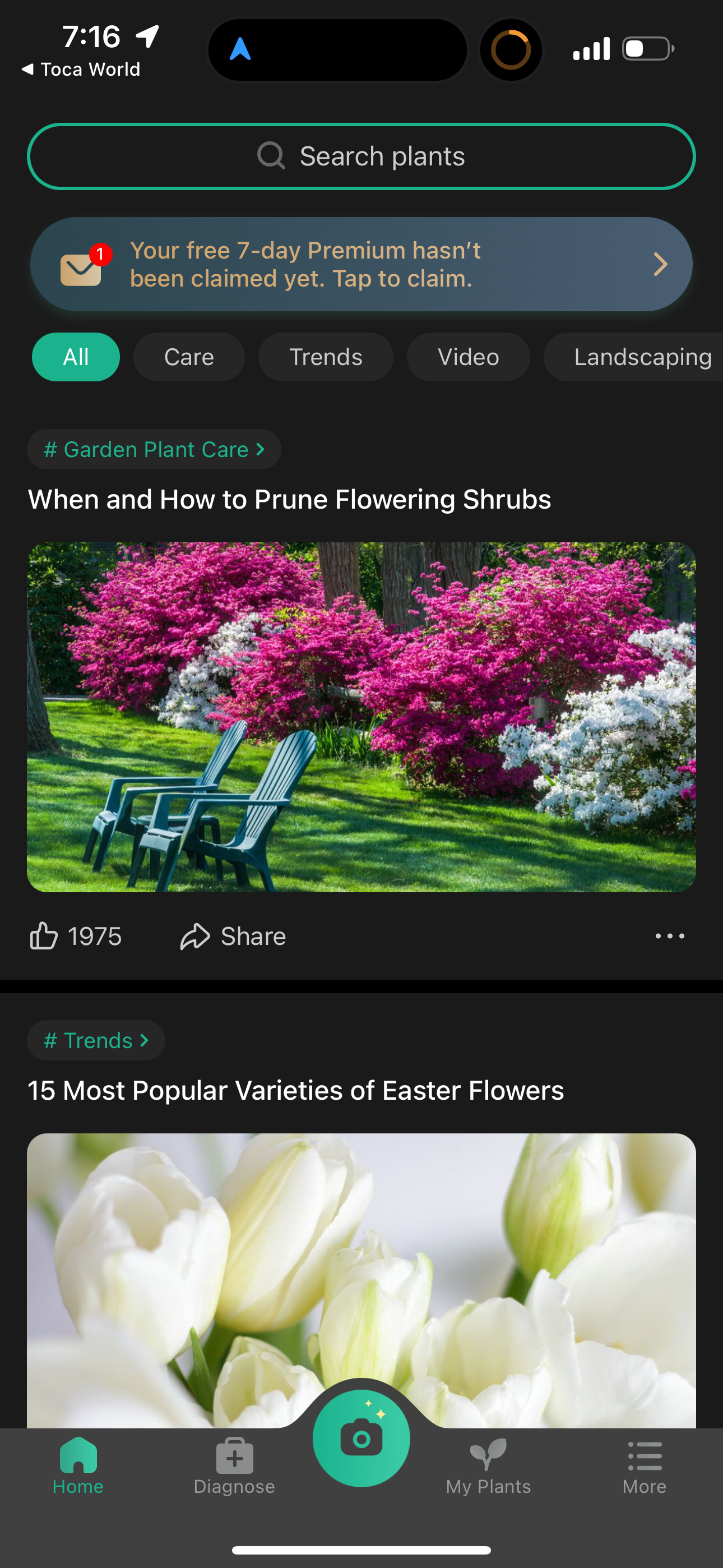 picturethis app screenshot 100