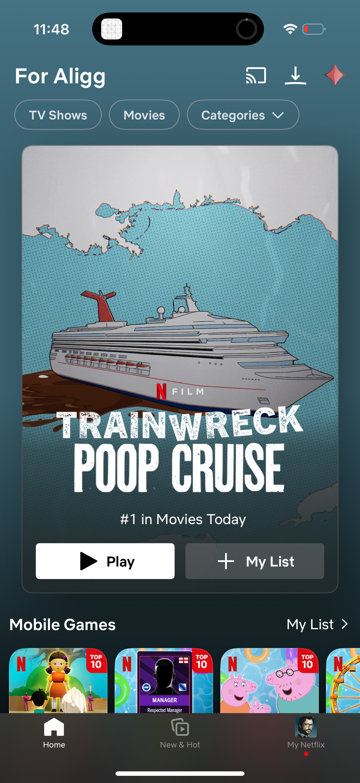 netflix app screenshot 54