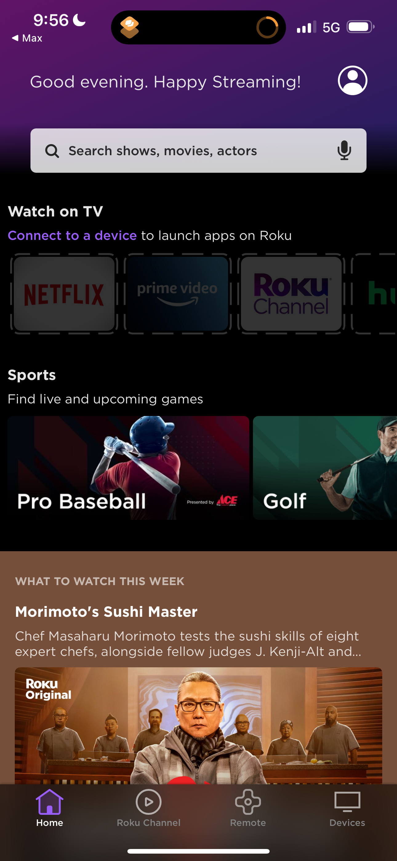 roku app screenshot 47
