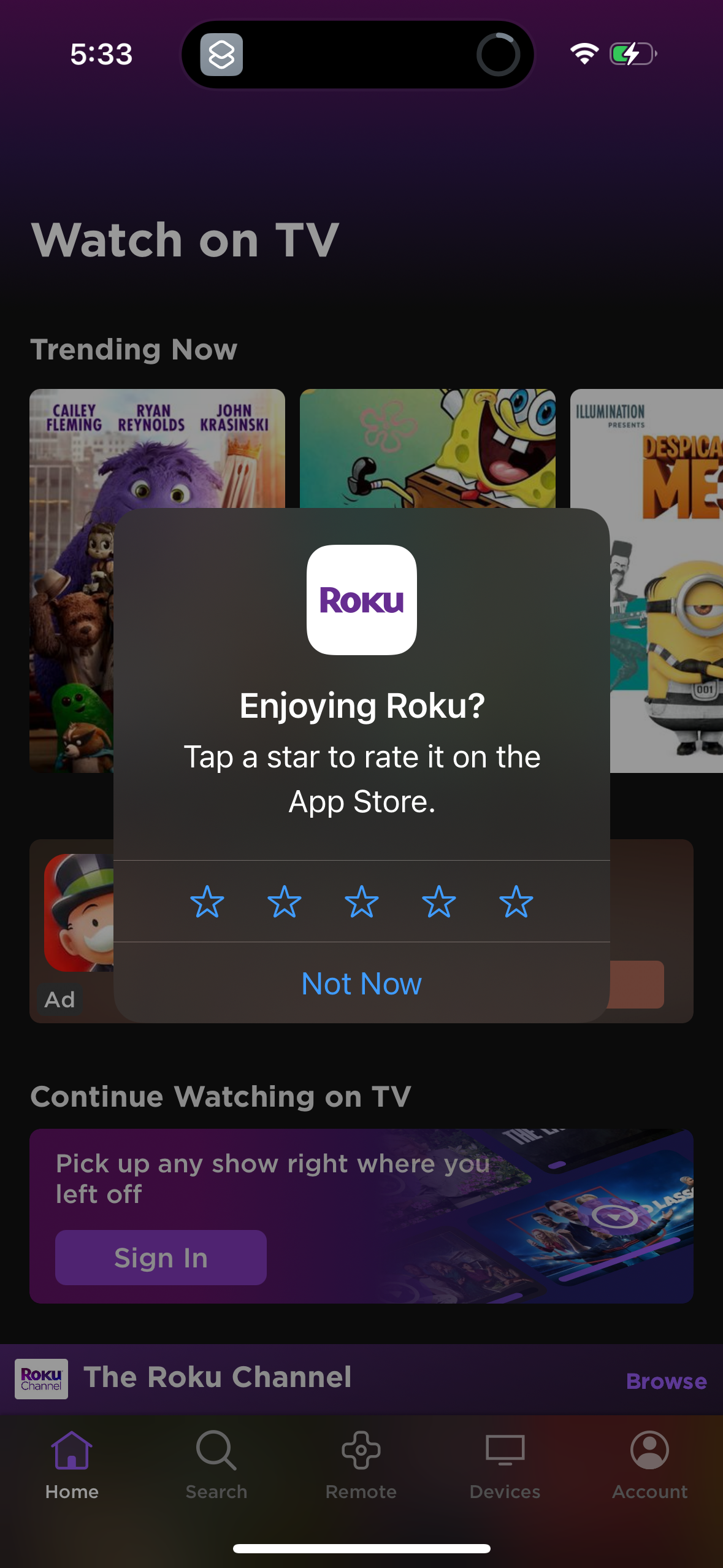 roku app screenshot 28