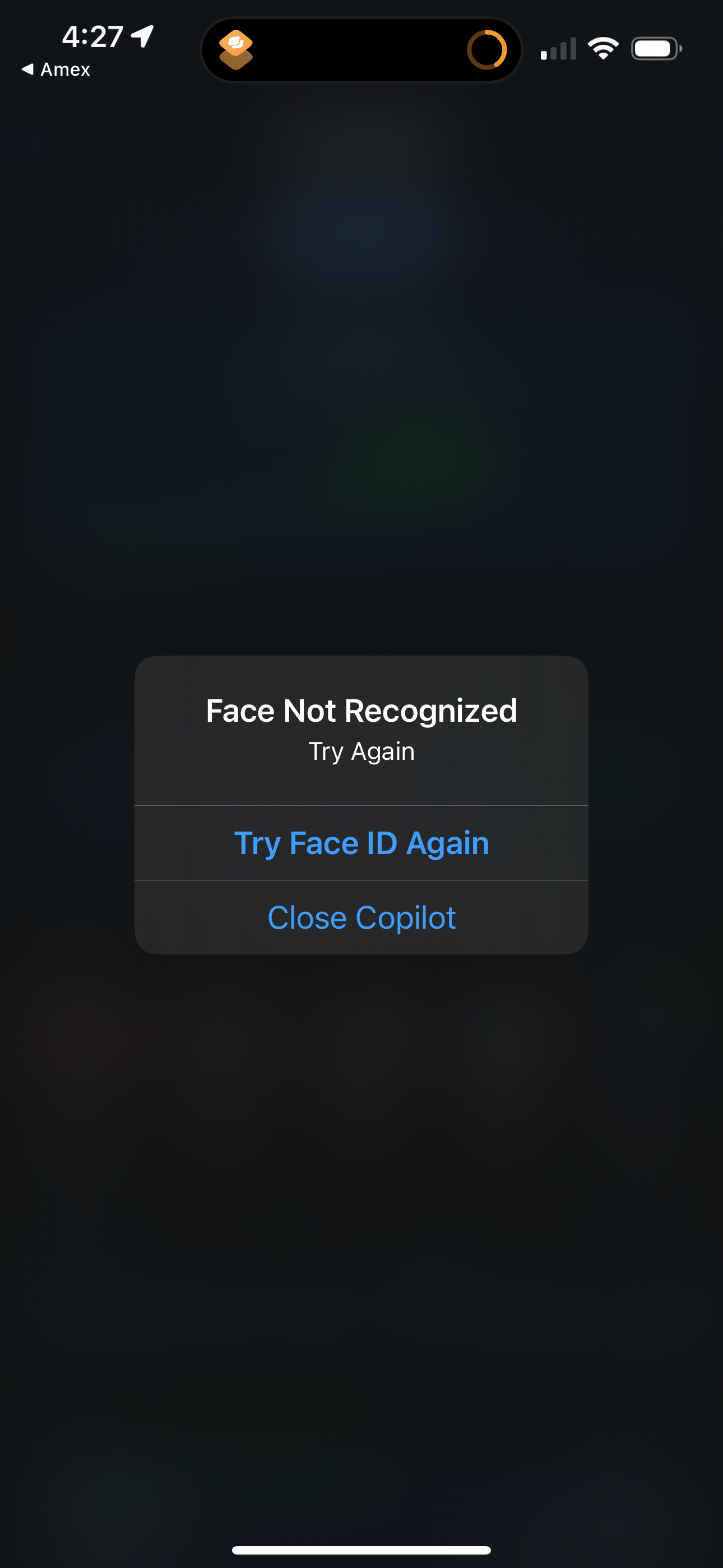 copilot app screenshot 145