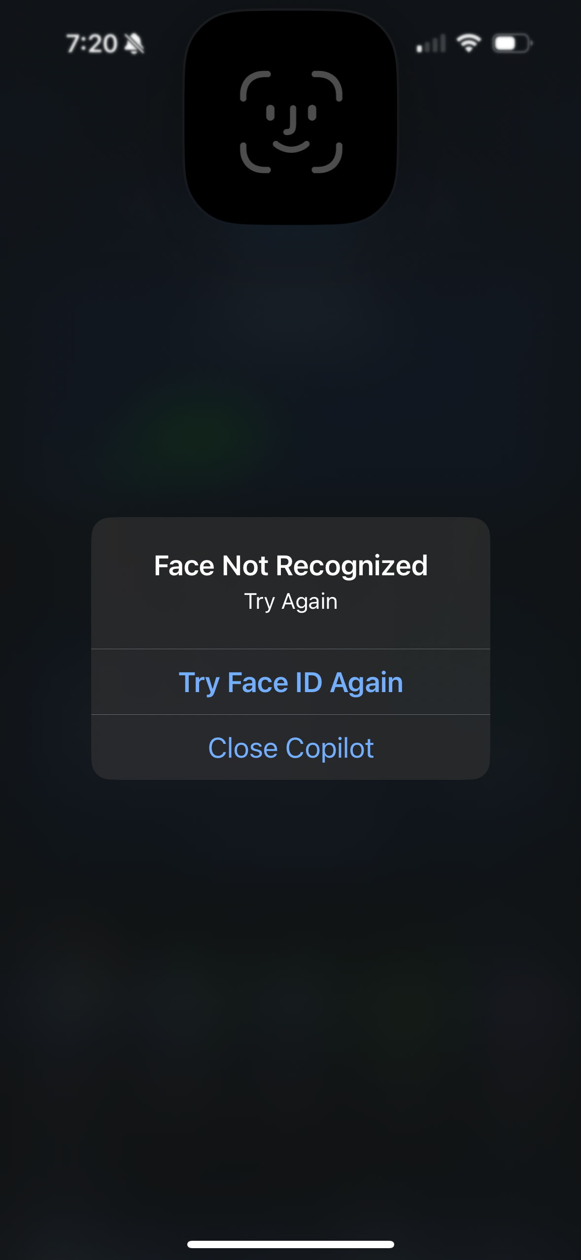 copilot app screenshot 88
