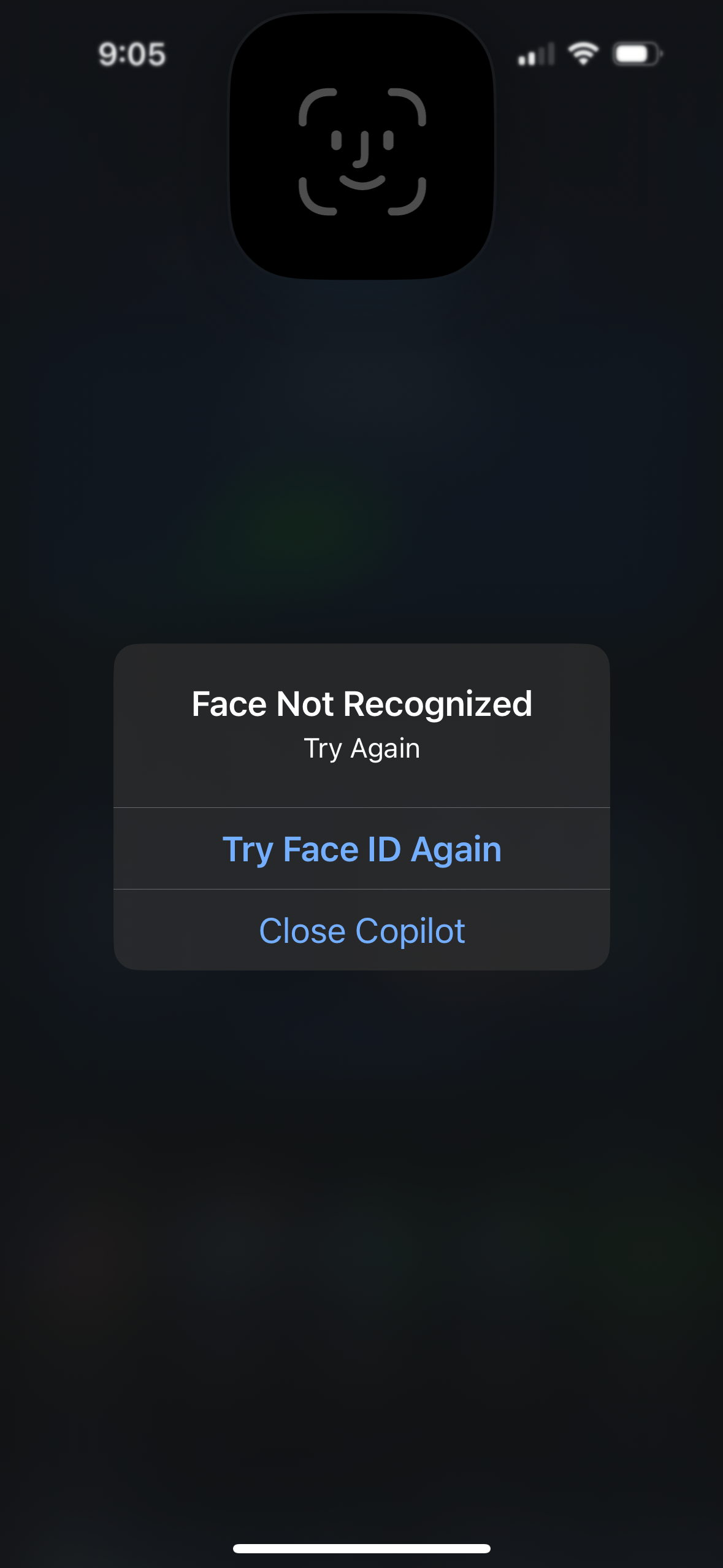 copilot app screenshot 86
