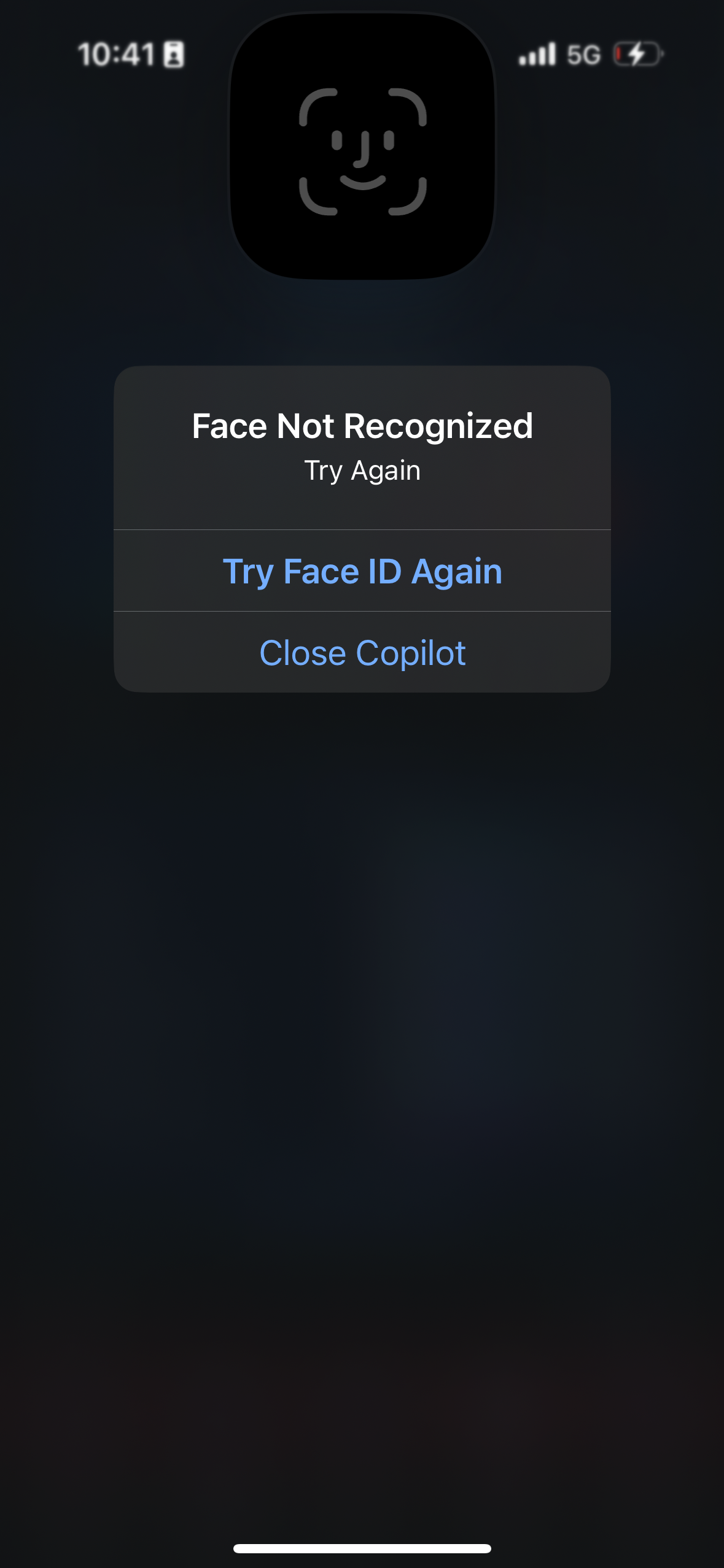 copilot app screenshot 81