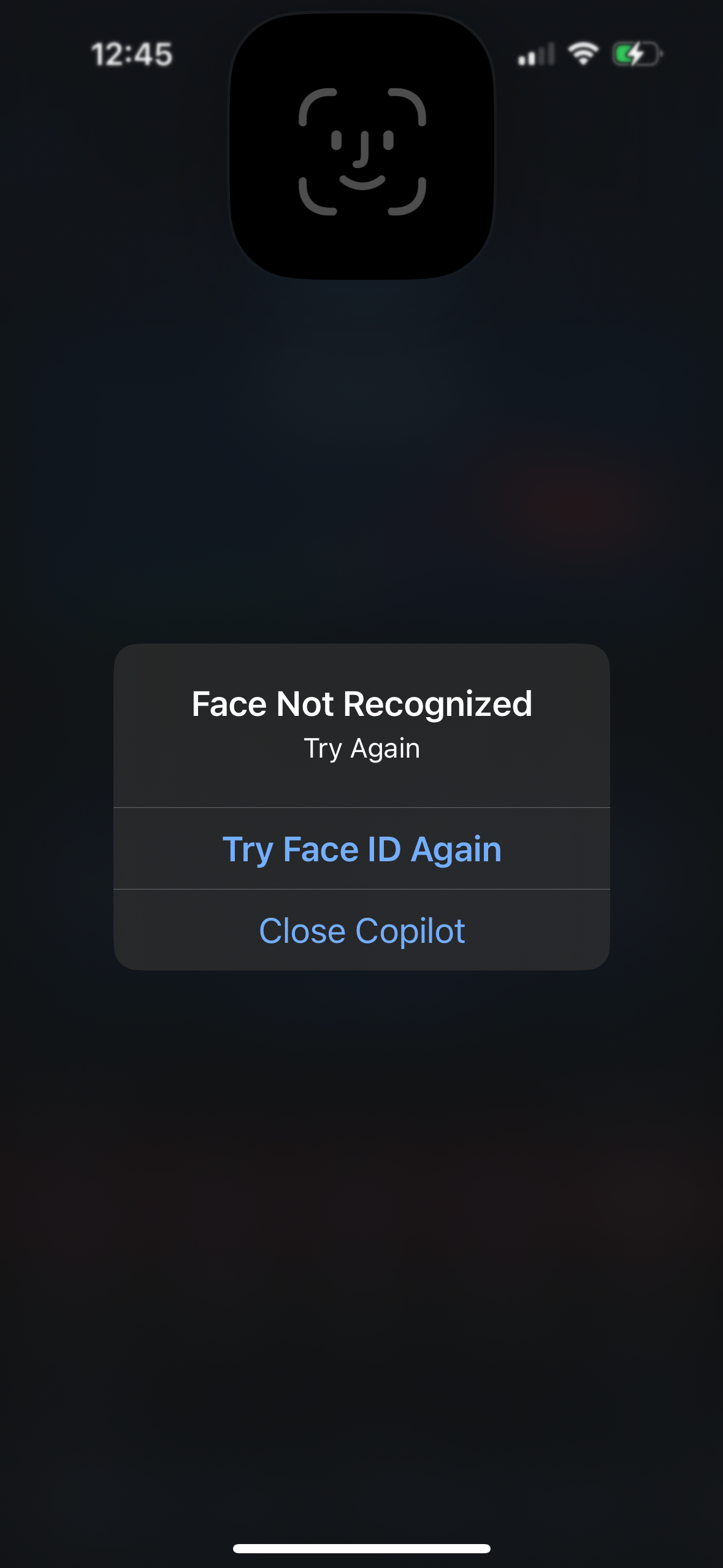 copilot app screenshot 79