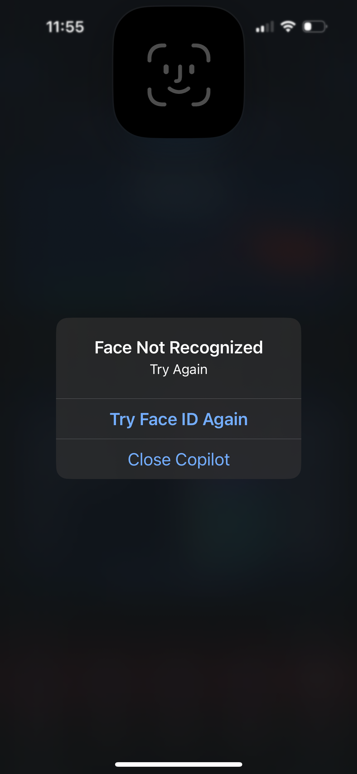 copilot app screenshot 78