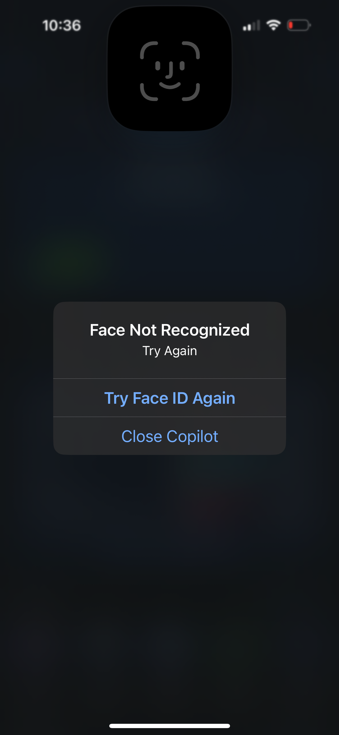 copilot app screenshot 70
