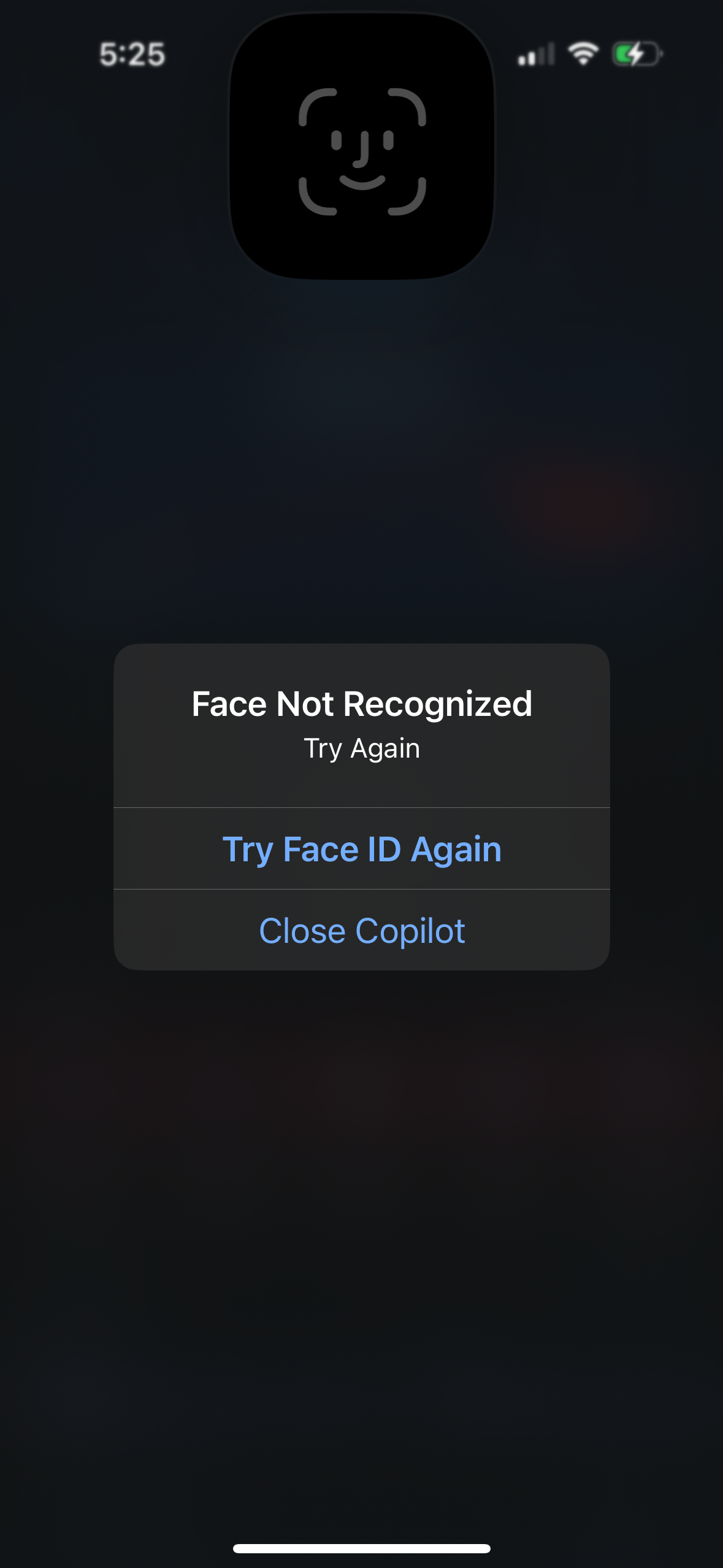 copilot app screenshot 56