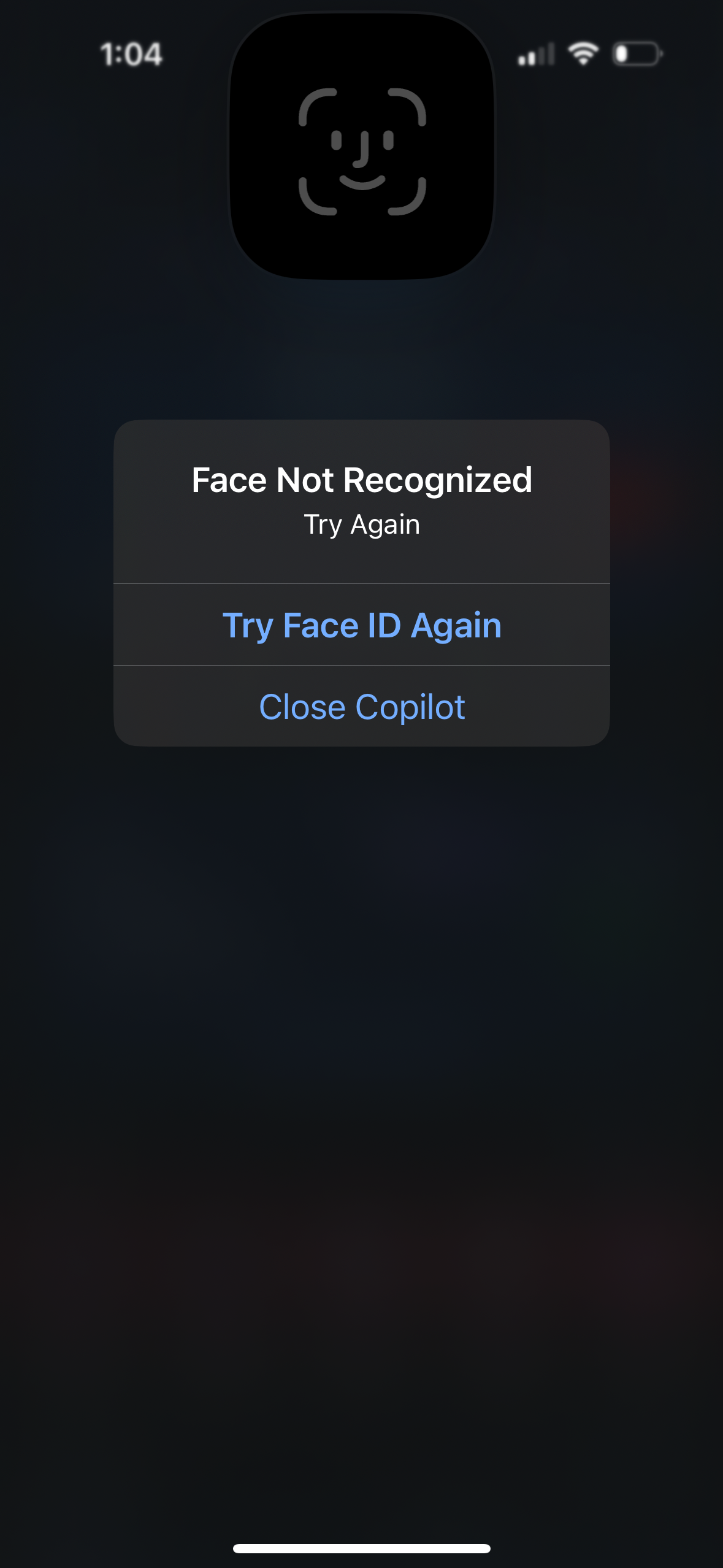 copilot app screenshot 53