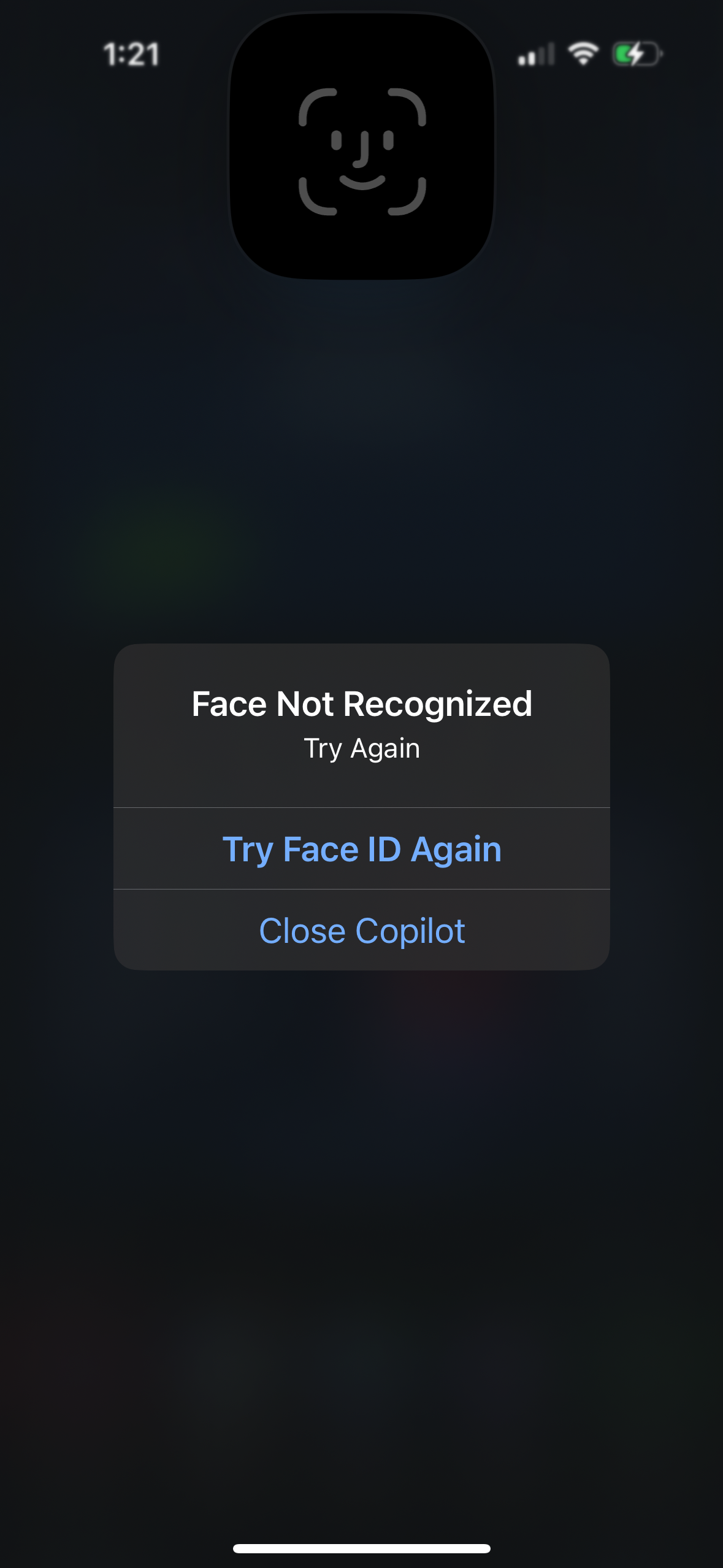 copilot app screenshot 51