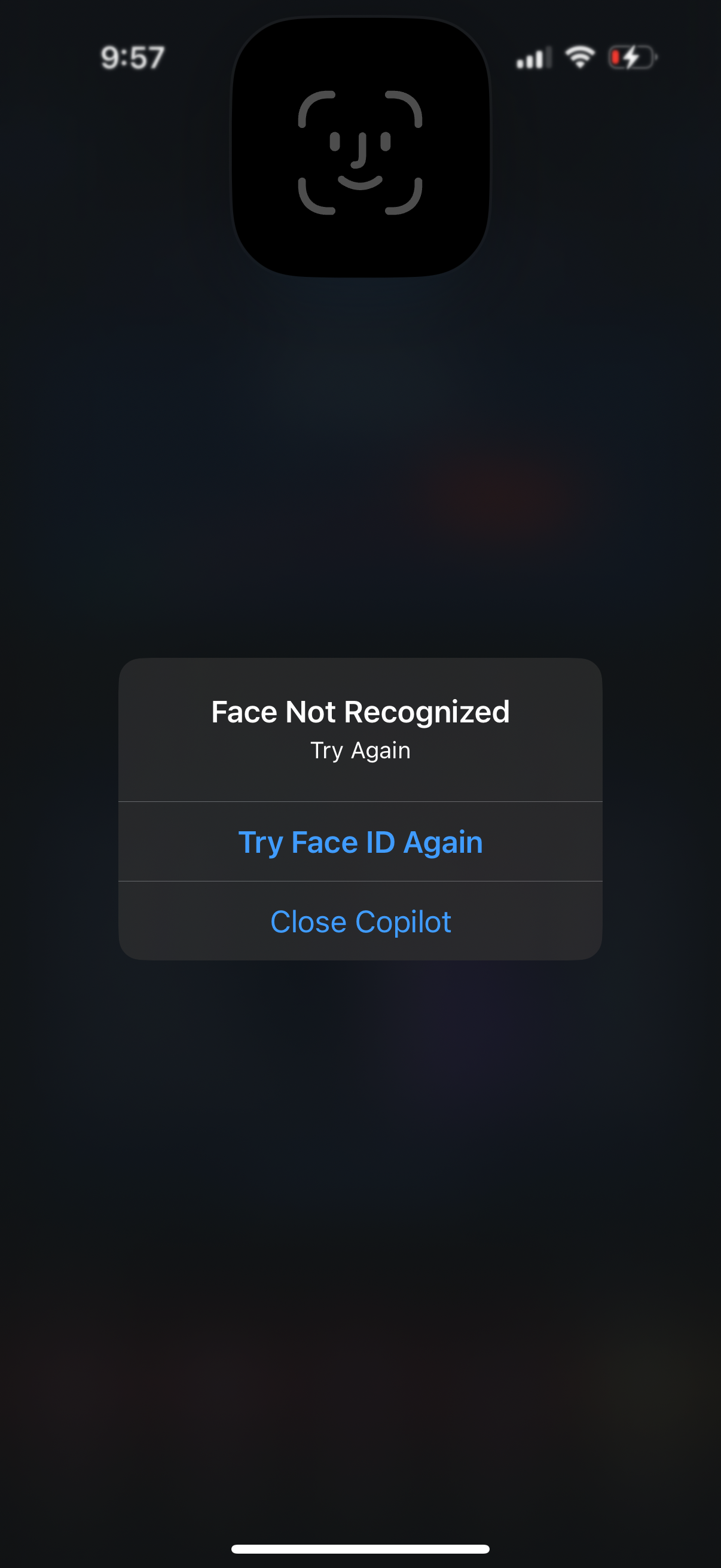 copilot app screenshot 45