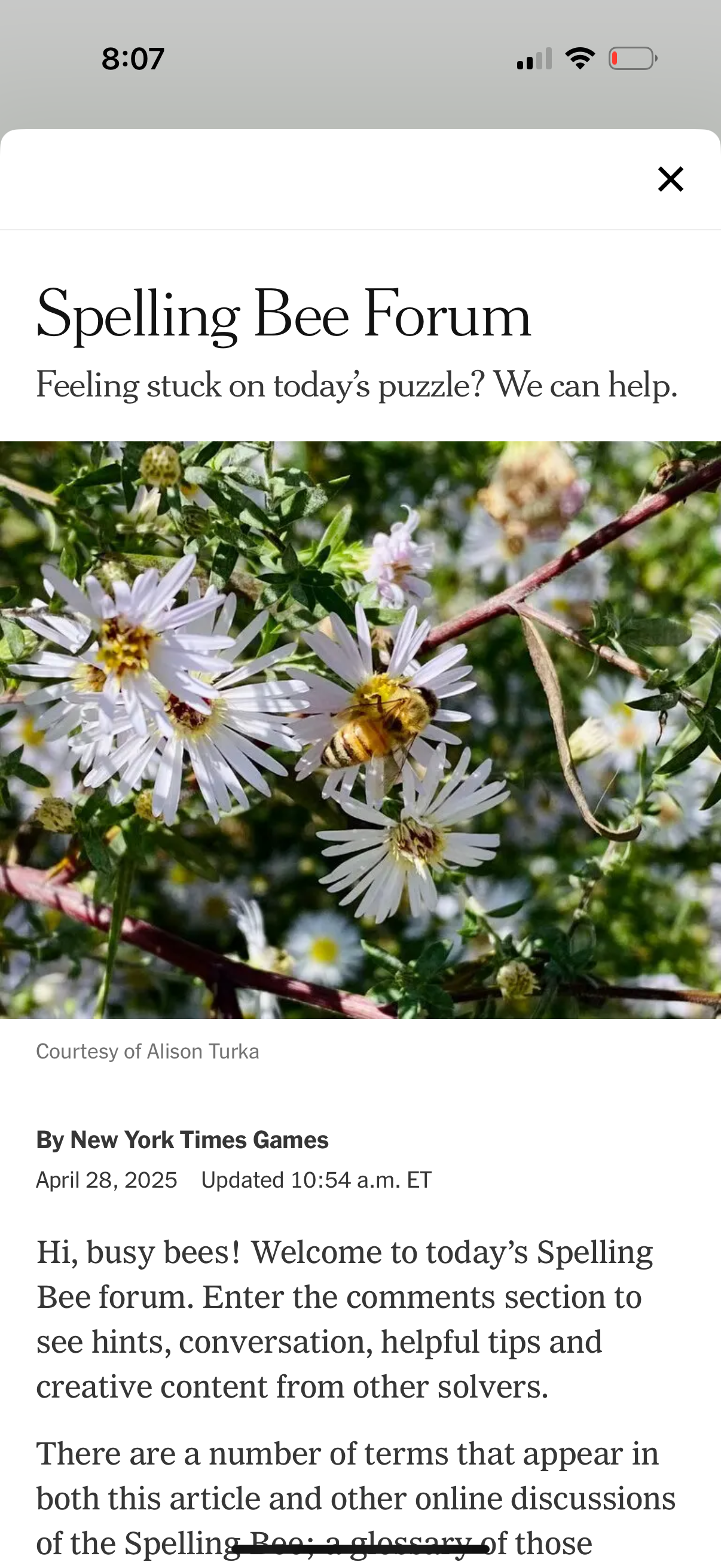 nyt-games app screenshot 35