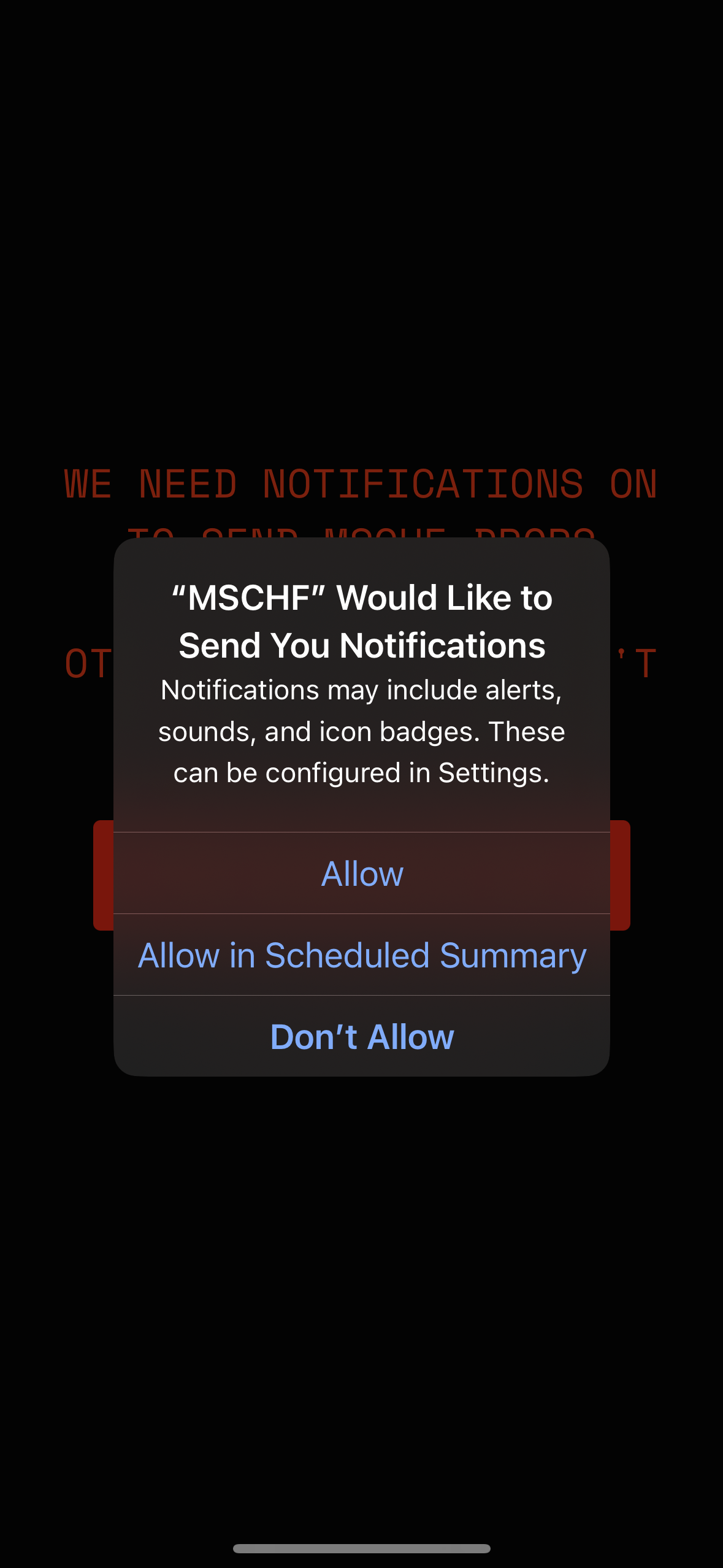 mschf app screenshot 33