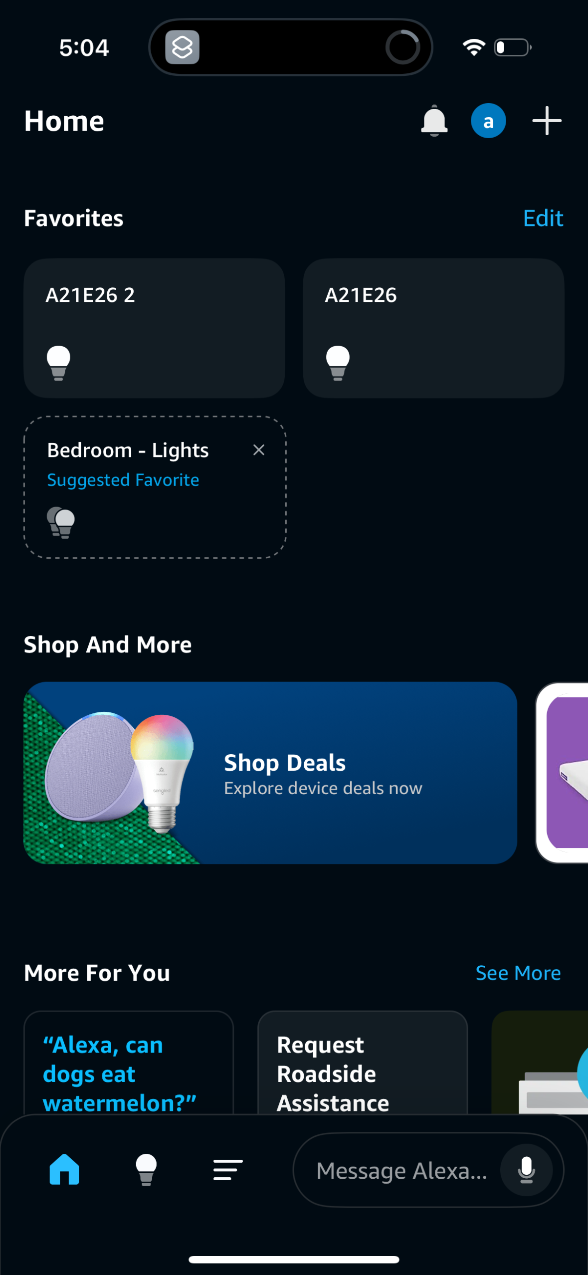 alexa app screenshot 13