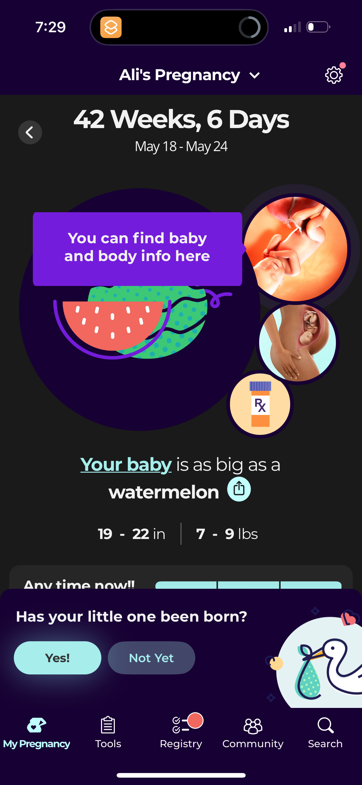 what-to-expect app screenshot 14