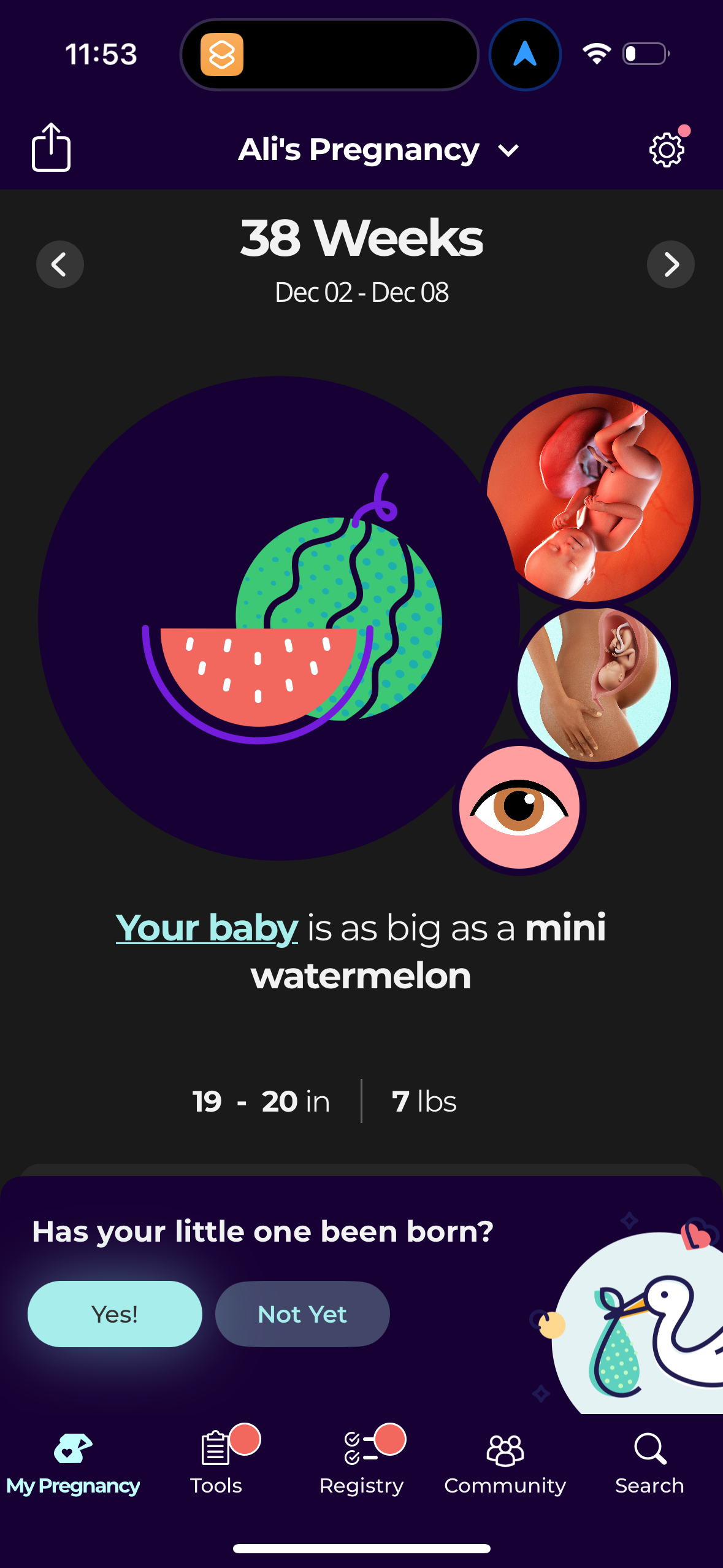 what-to-expect app screenshot 21