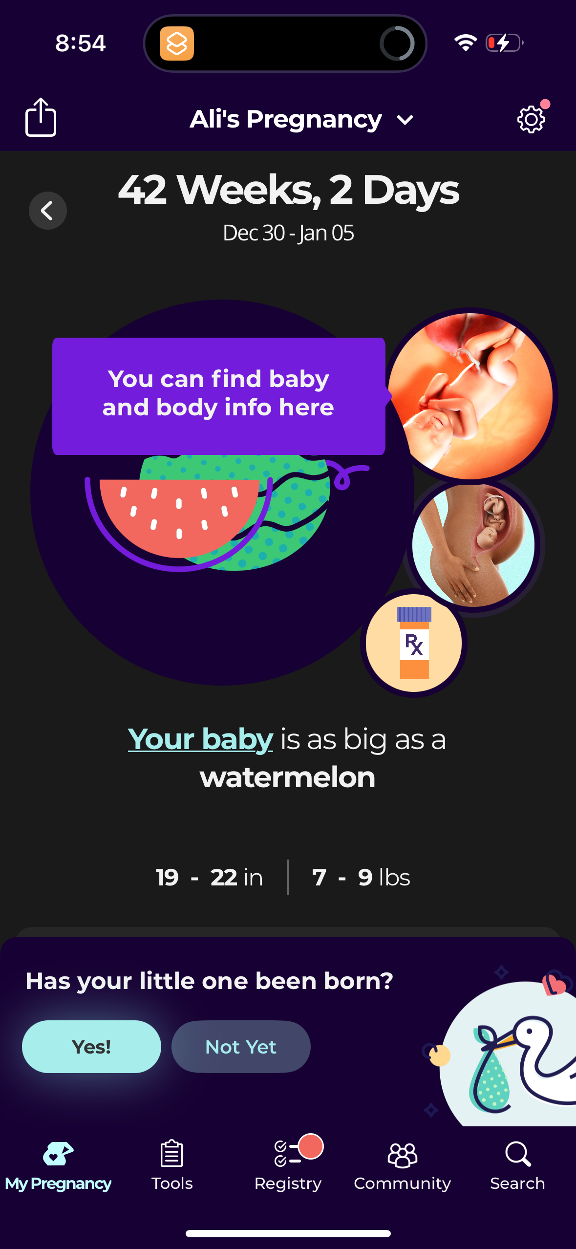 what-to-expect app screenshot 20