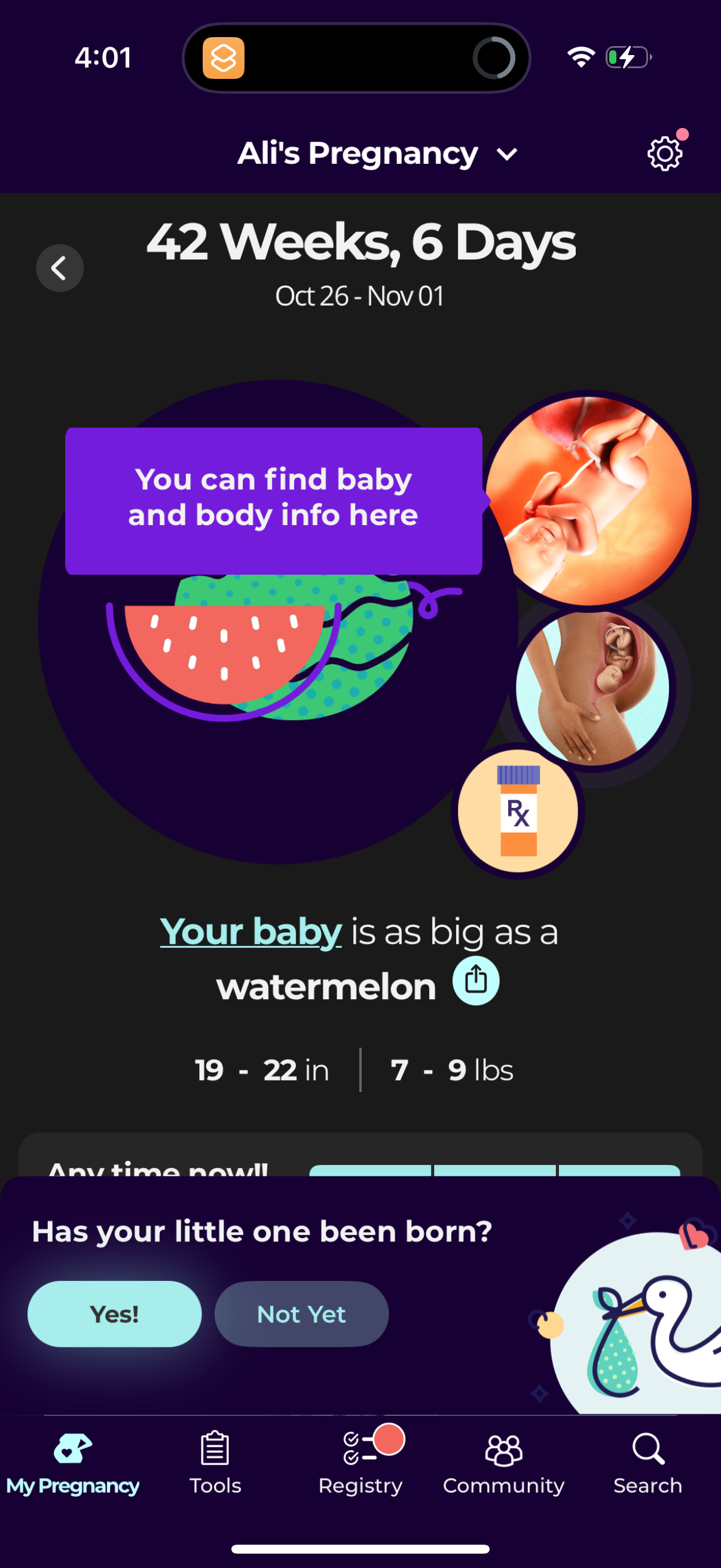 what-to-expect app screenshot 3