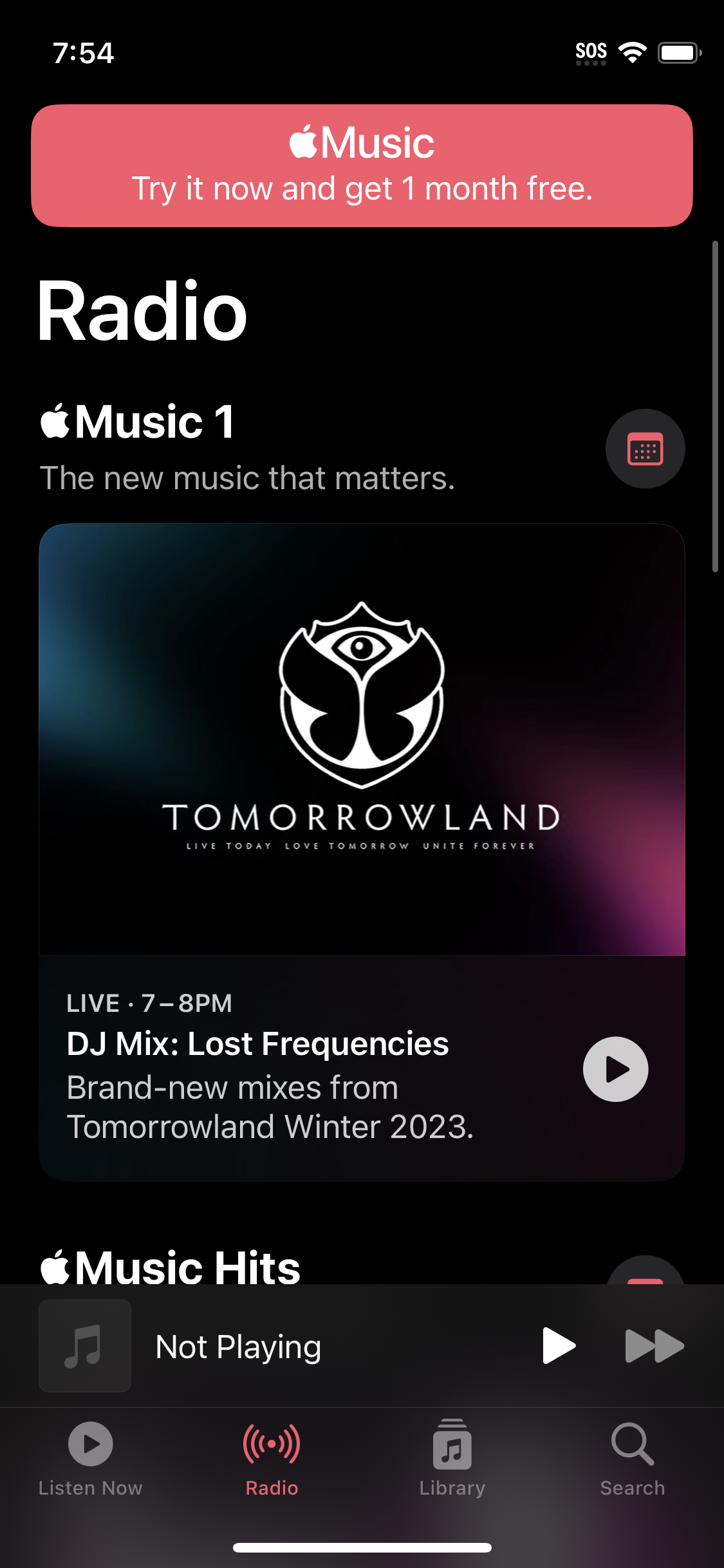 apple-music app screenshot 8