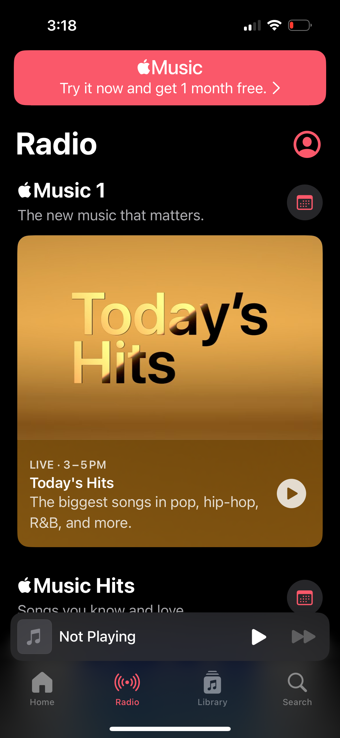 apple-music app screenshot 35