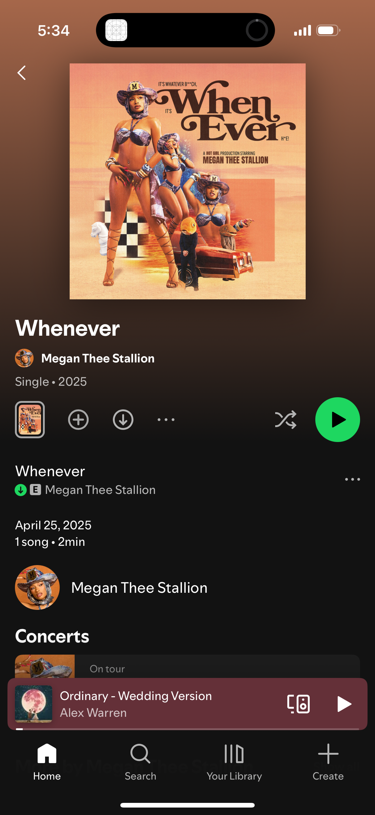spotify app screenshot 96