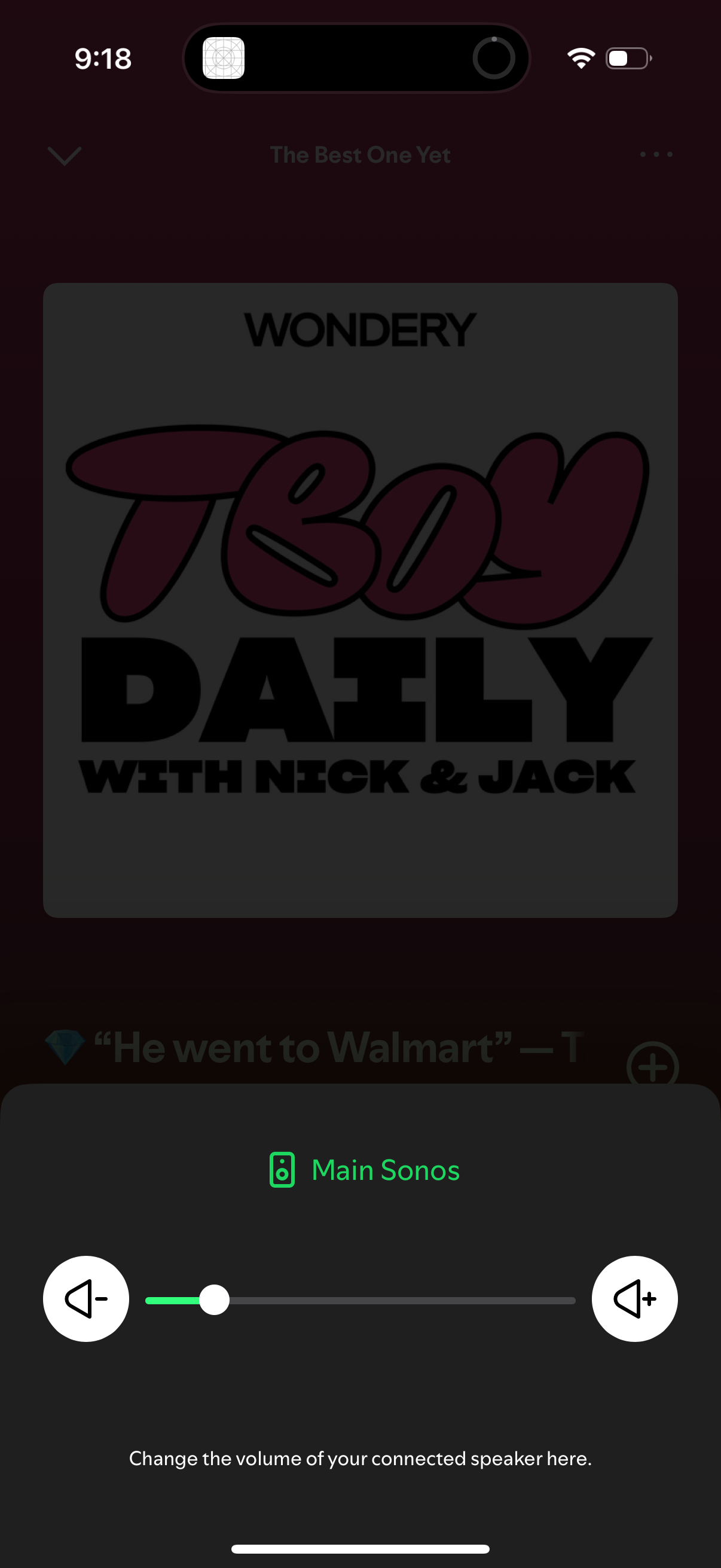 spotify app screenshot 36