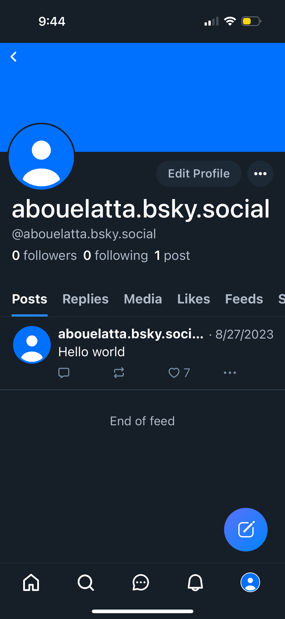 bluesky app screenshot 118