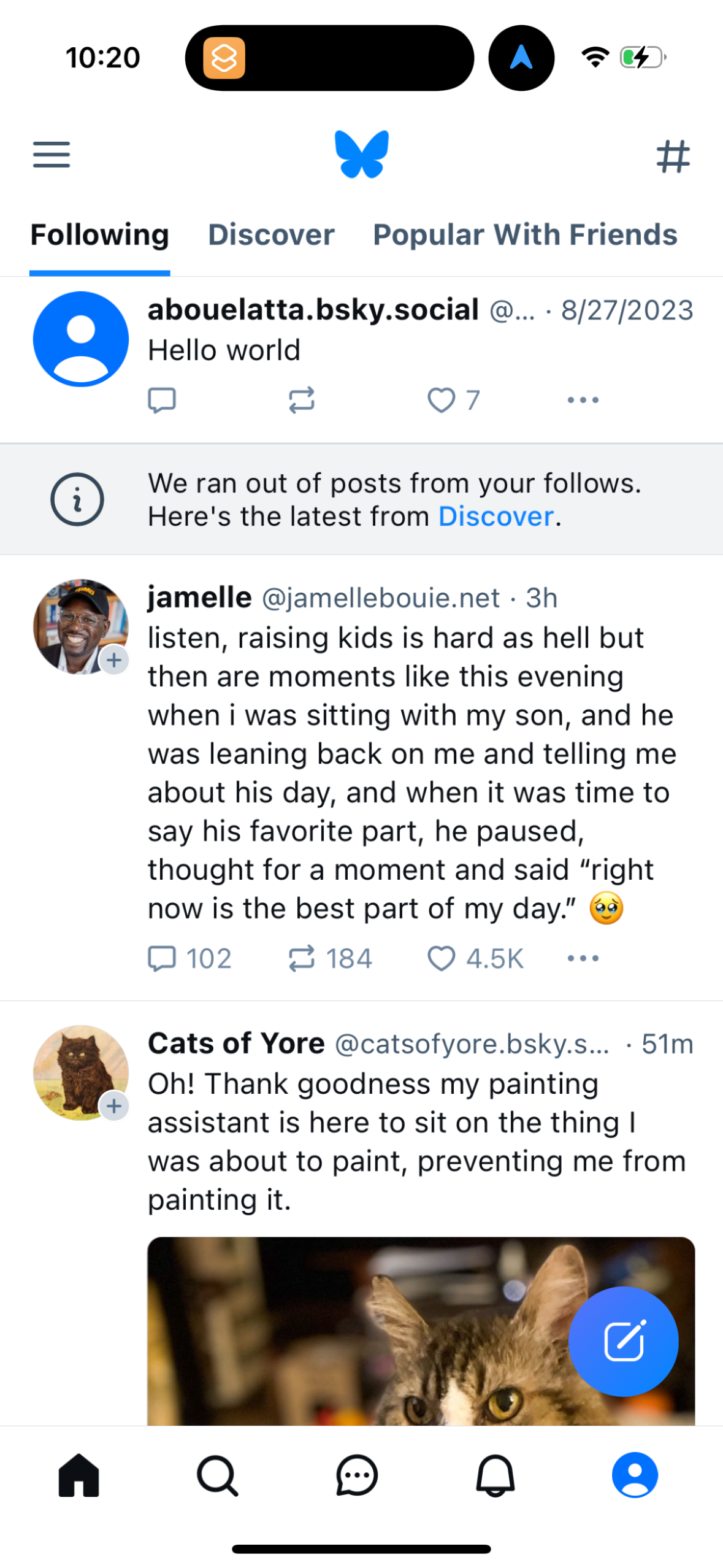 bluesky app screenshot 110