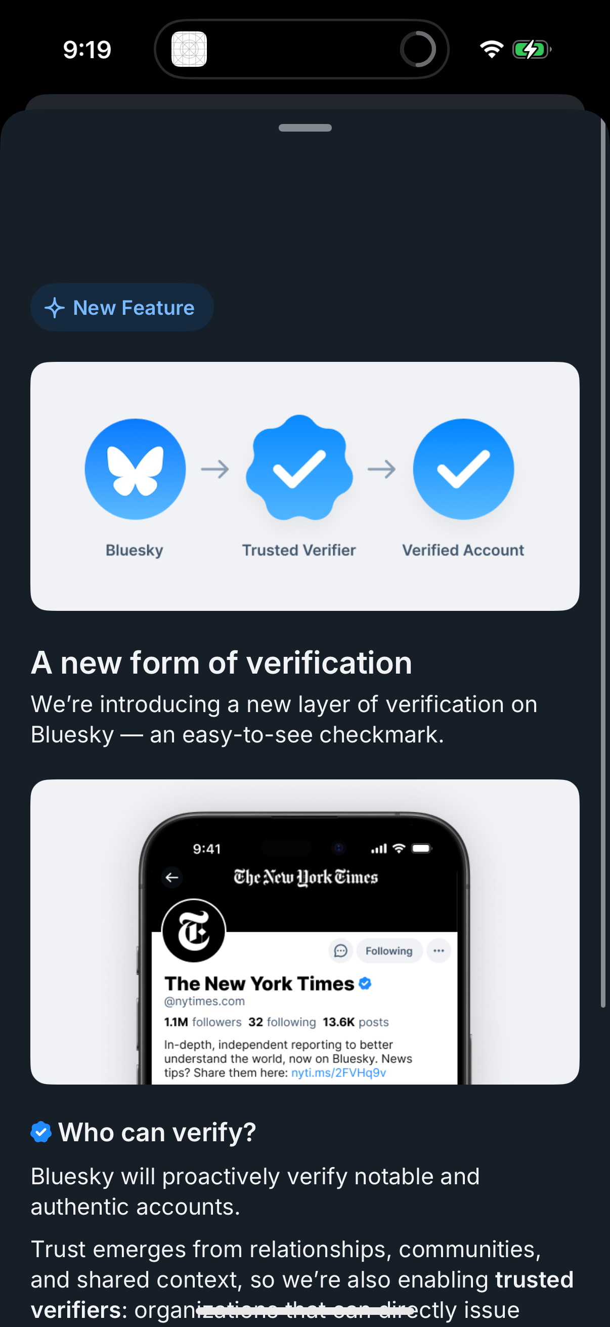 bluesky app screenshot 79