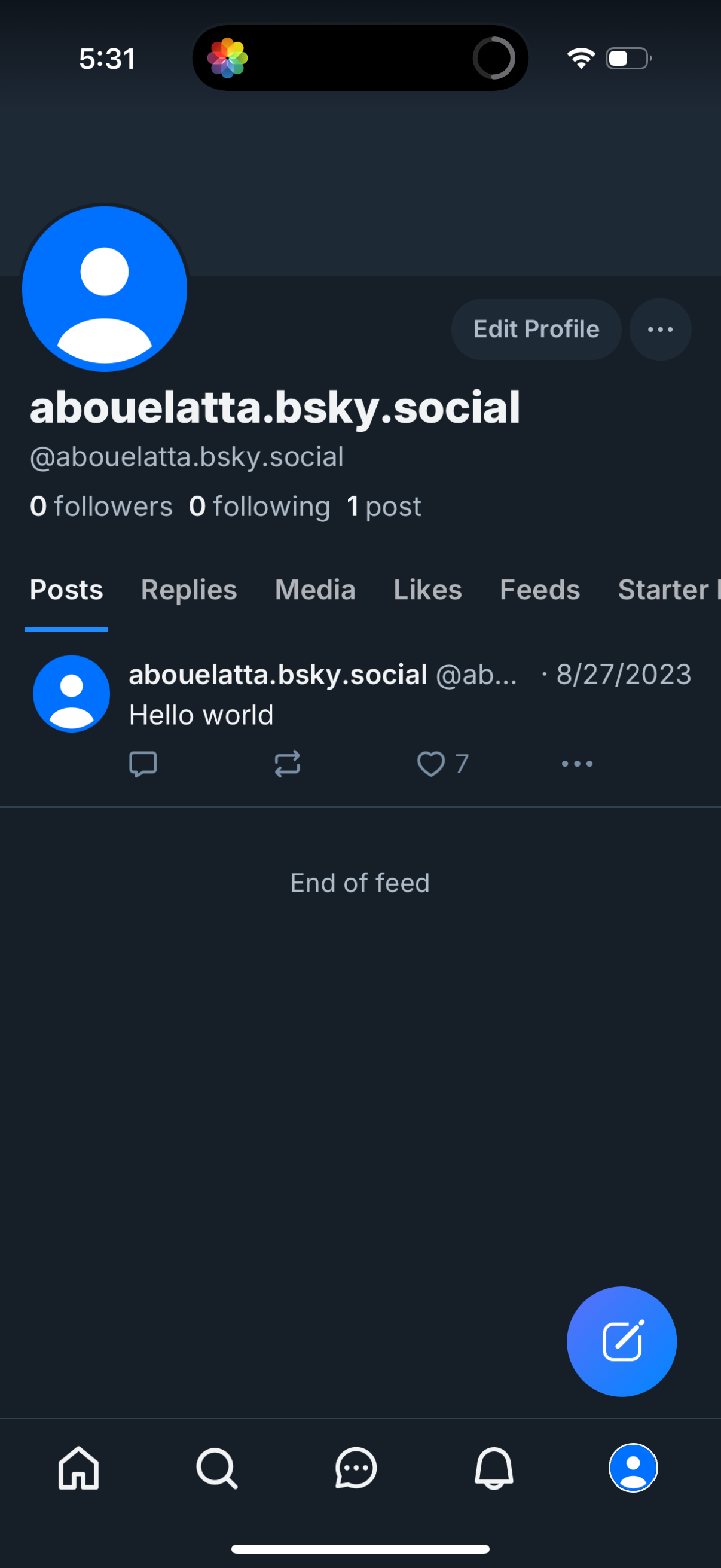 bluesky app screenshot 105