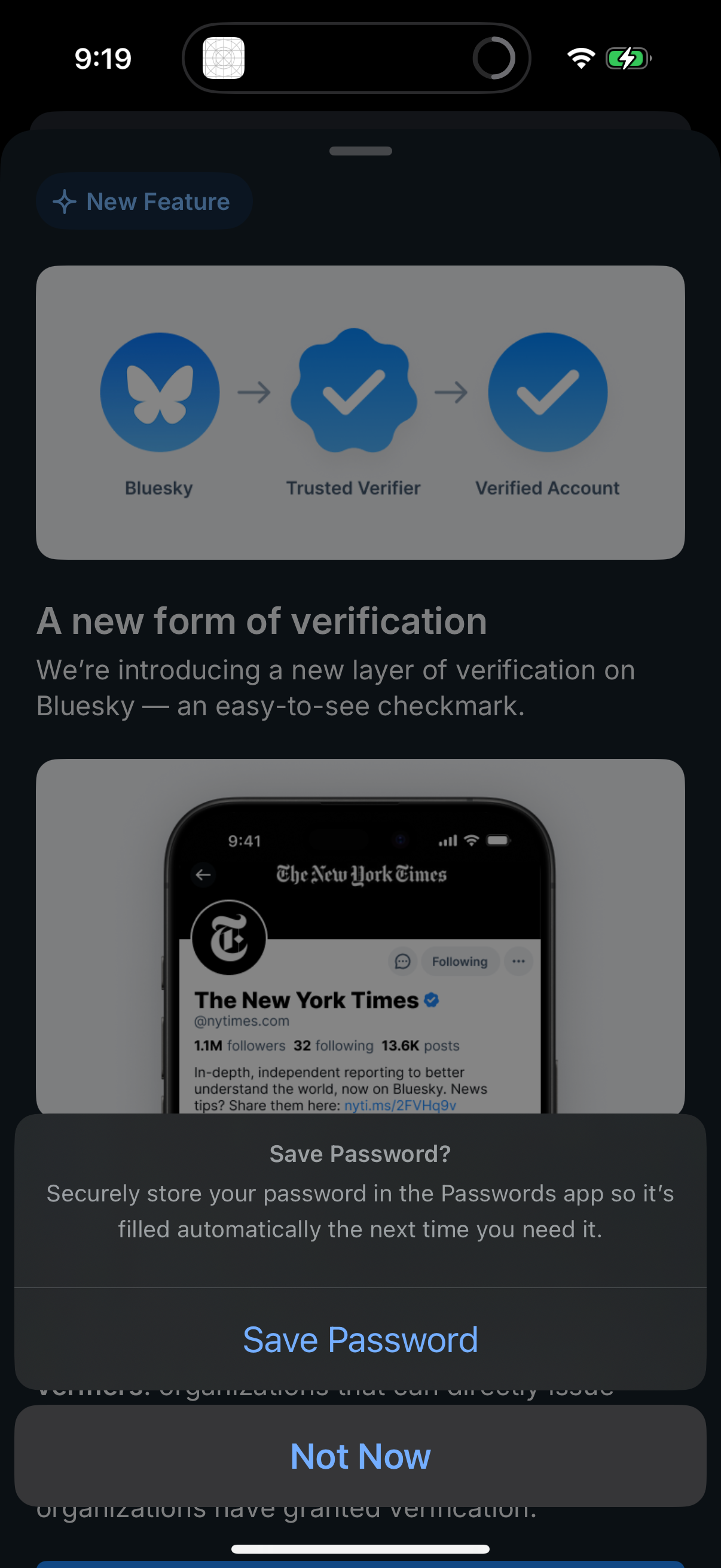 bluesky app screenshot 80