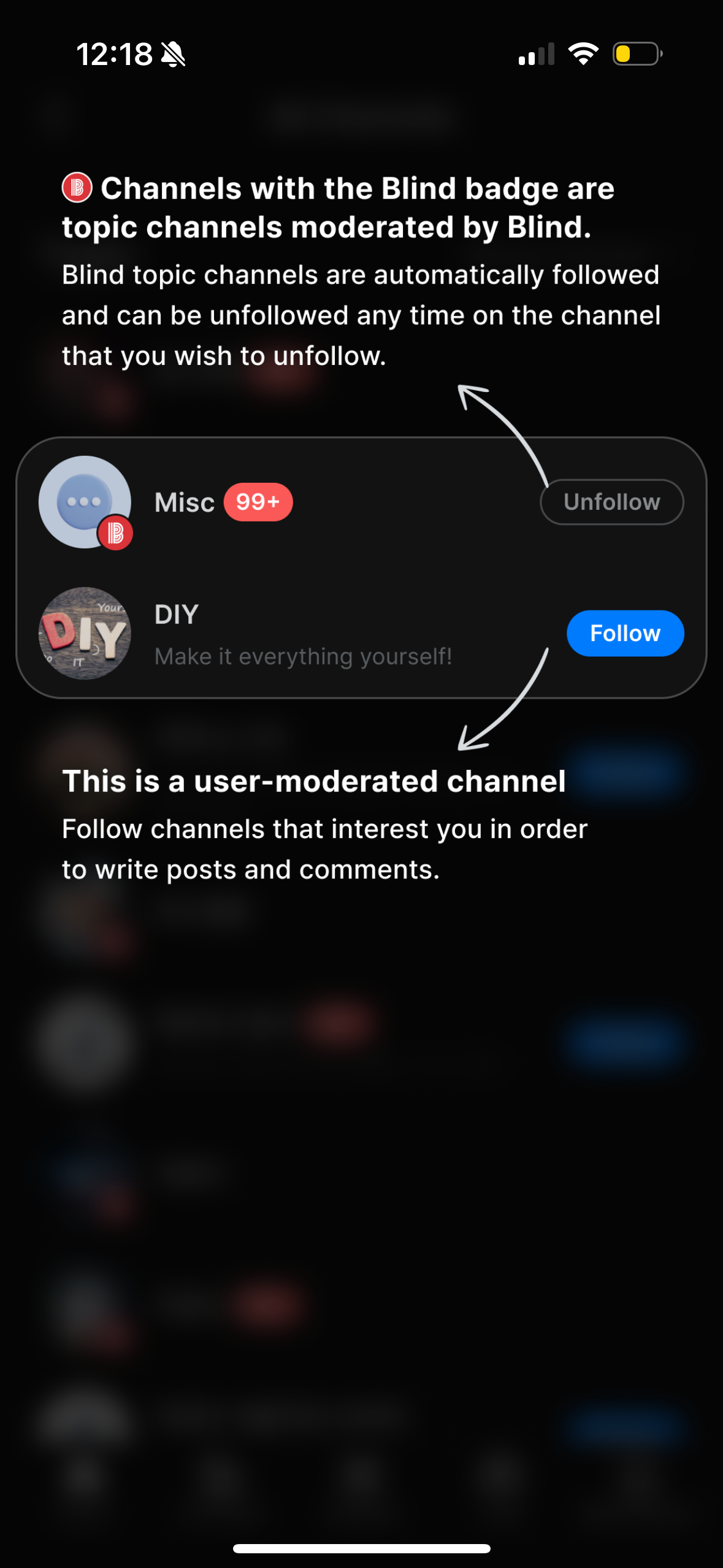blind app screenshot 36