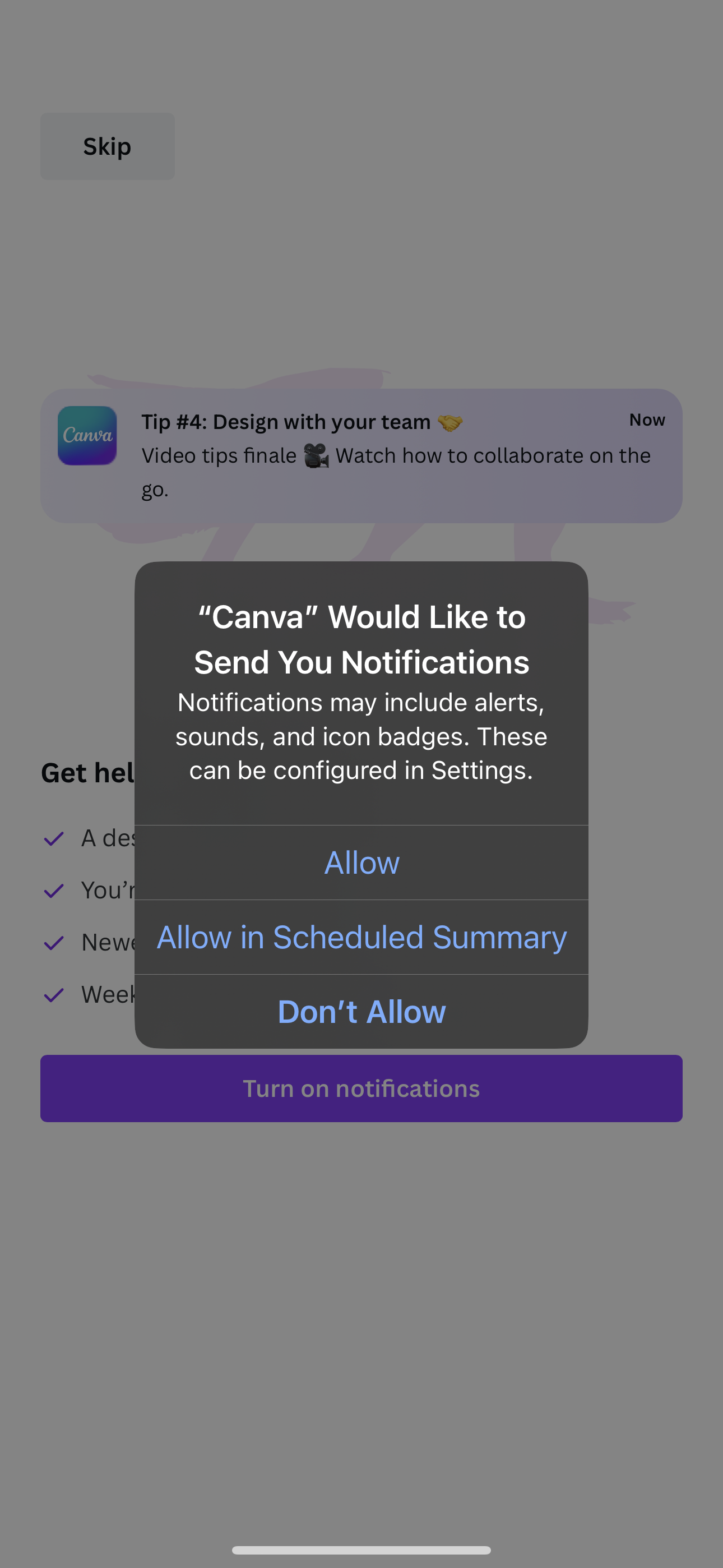 canva app screenshot 87