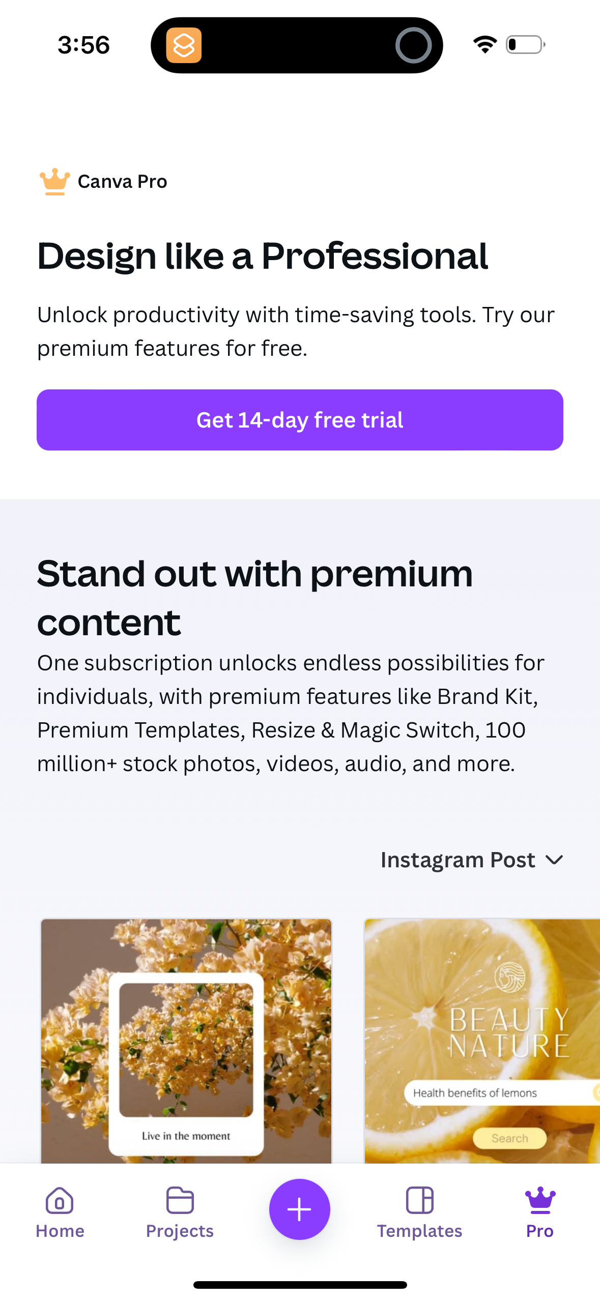 canva app screenshot 38