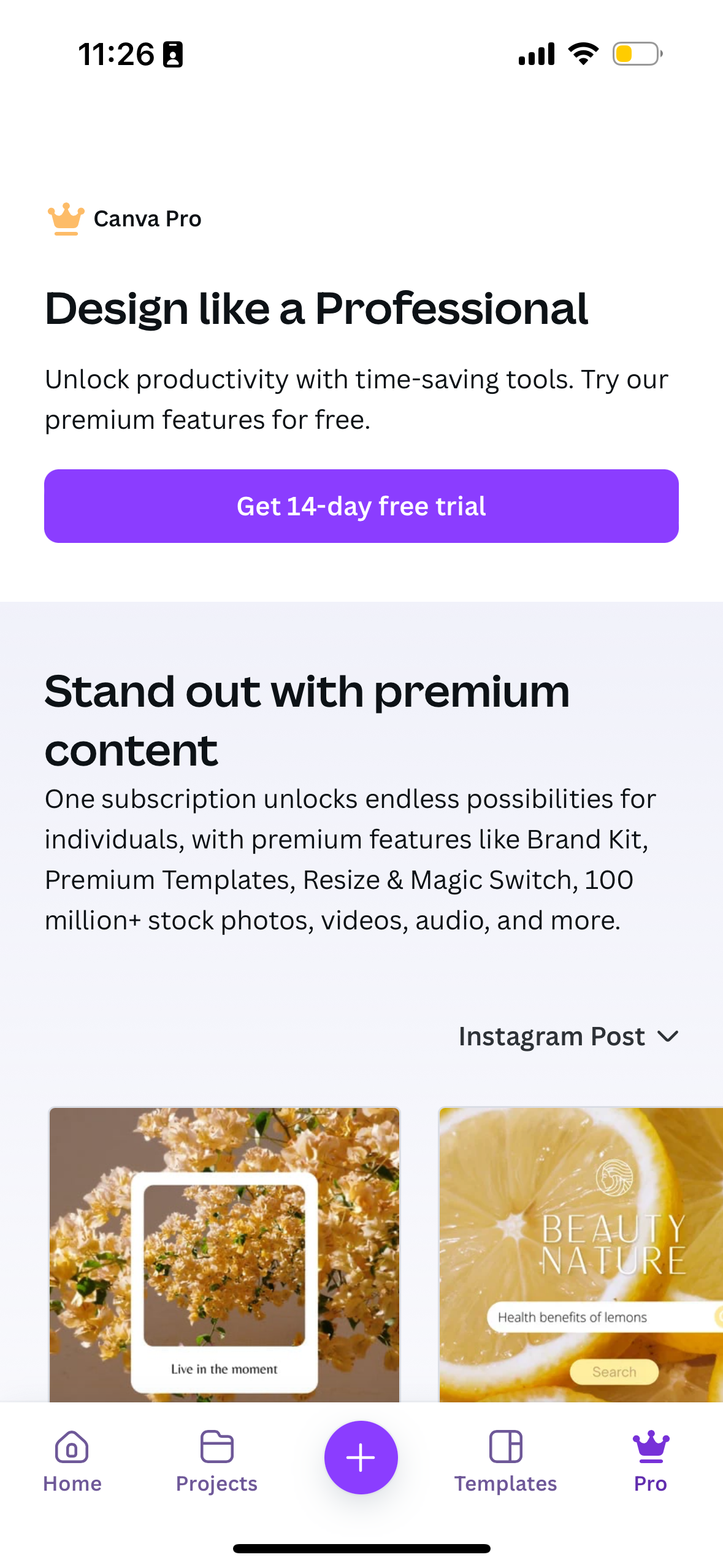 canva app screenshot 33