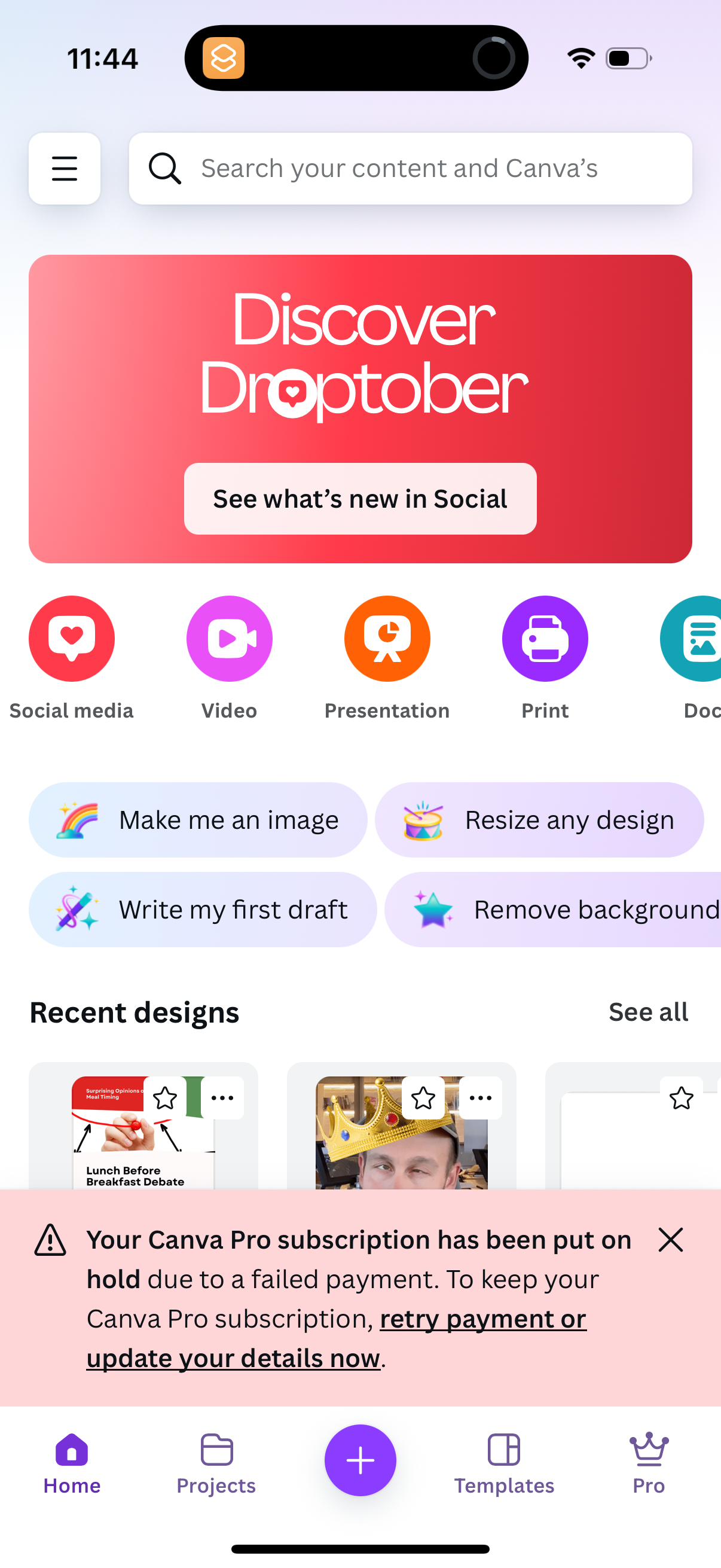 canva app screenshot 26