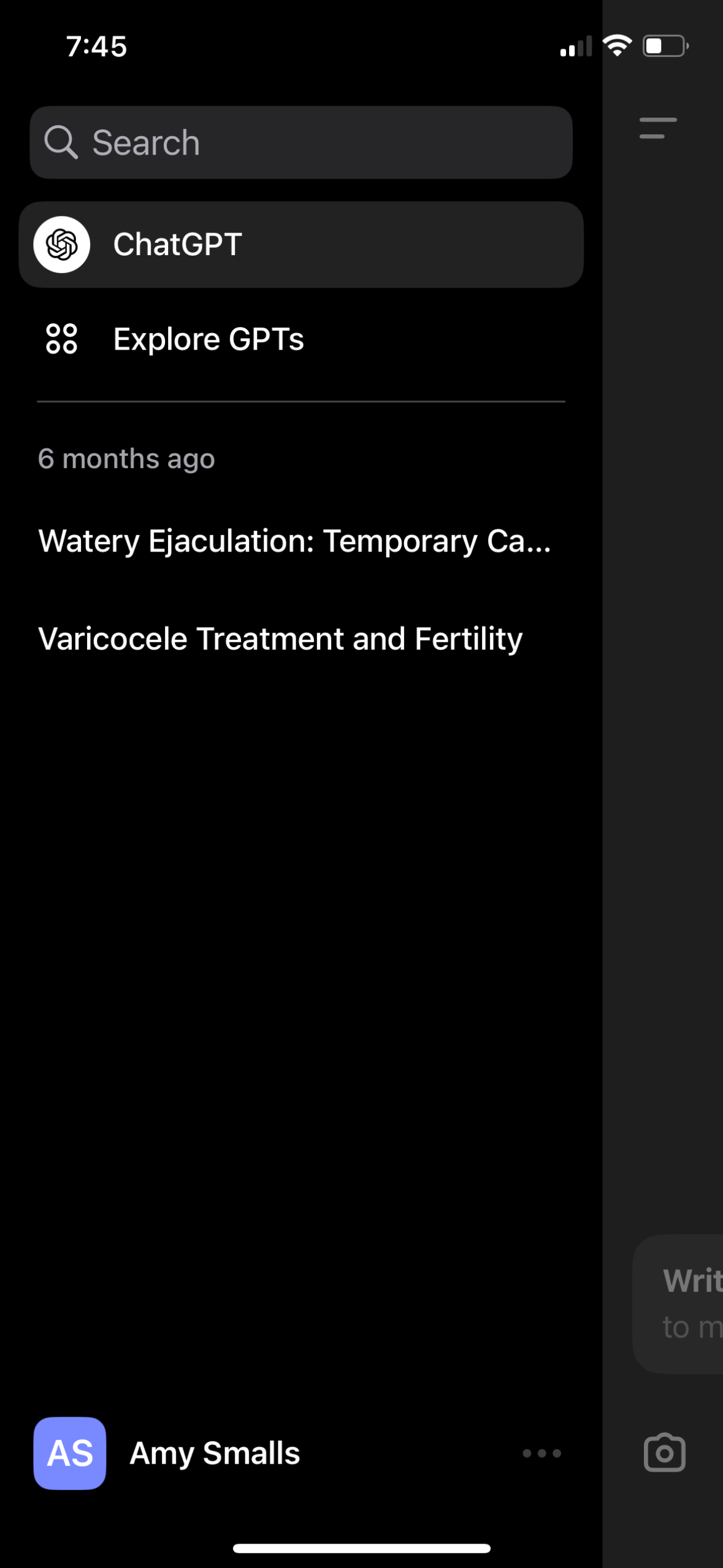 chatgpt app screenshot 148