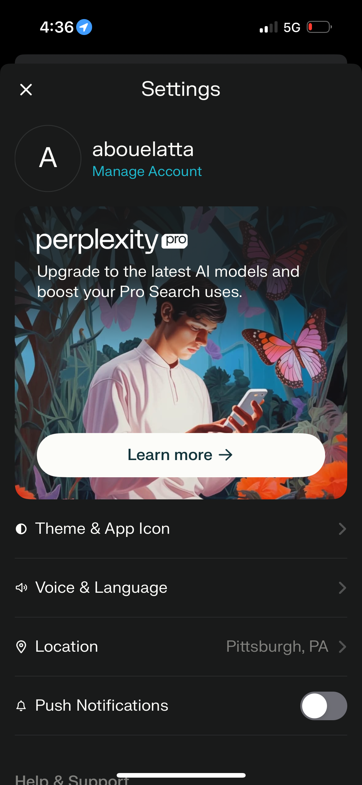 perplexity app screenshot 53