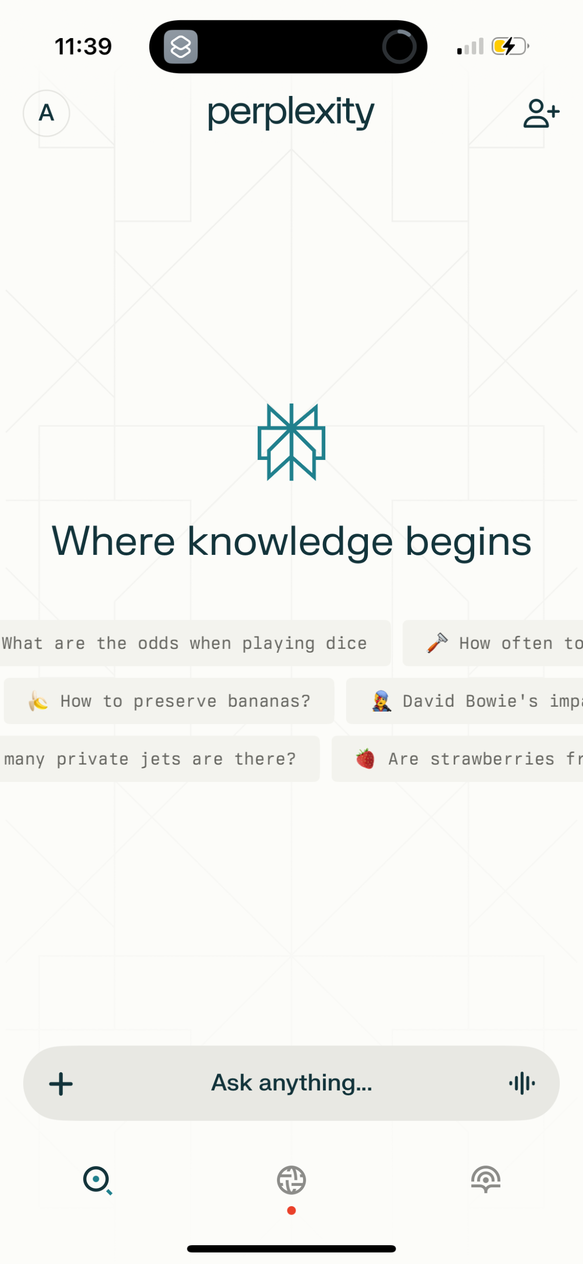 perplexity app screenshot 47