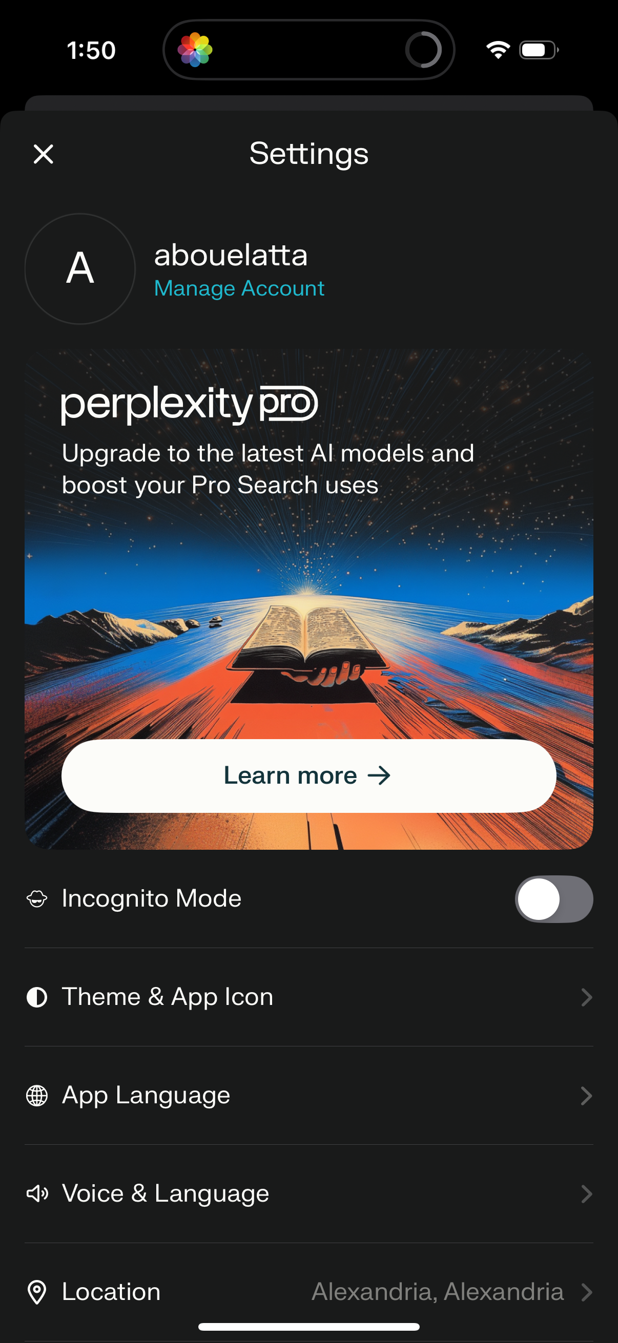 perplexity app screenshot 41