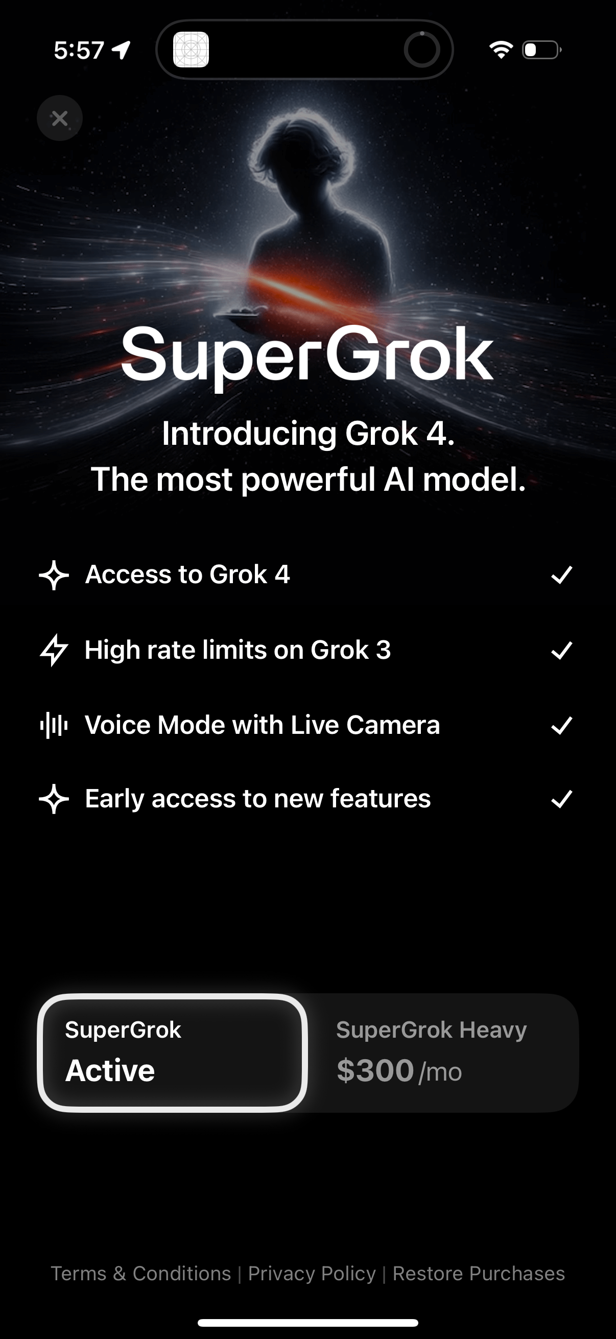 grok app screenshot 10