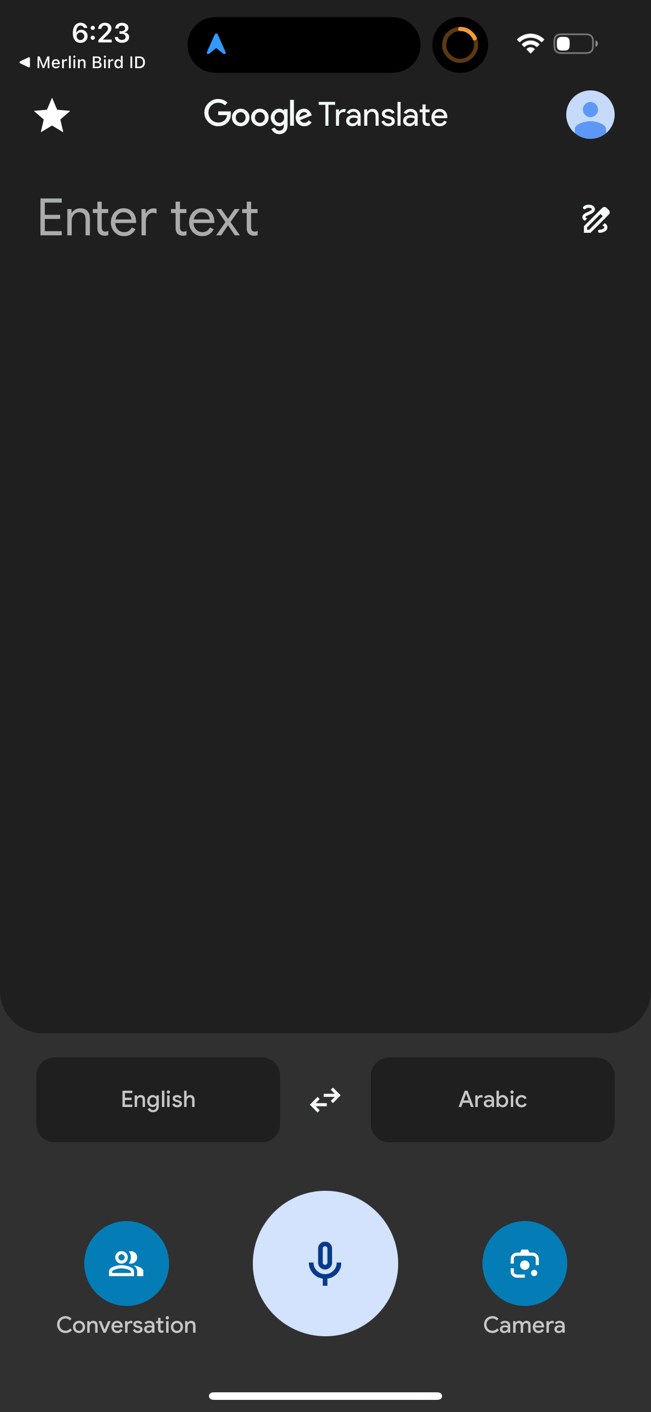 google-translate app screenshot 33